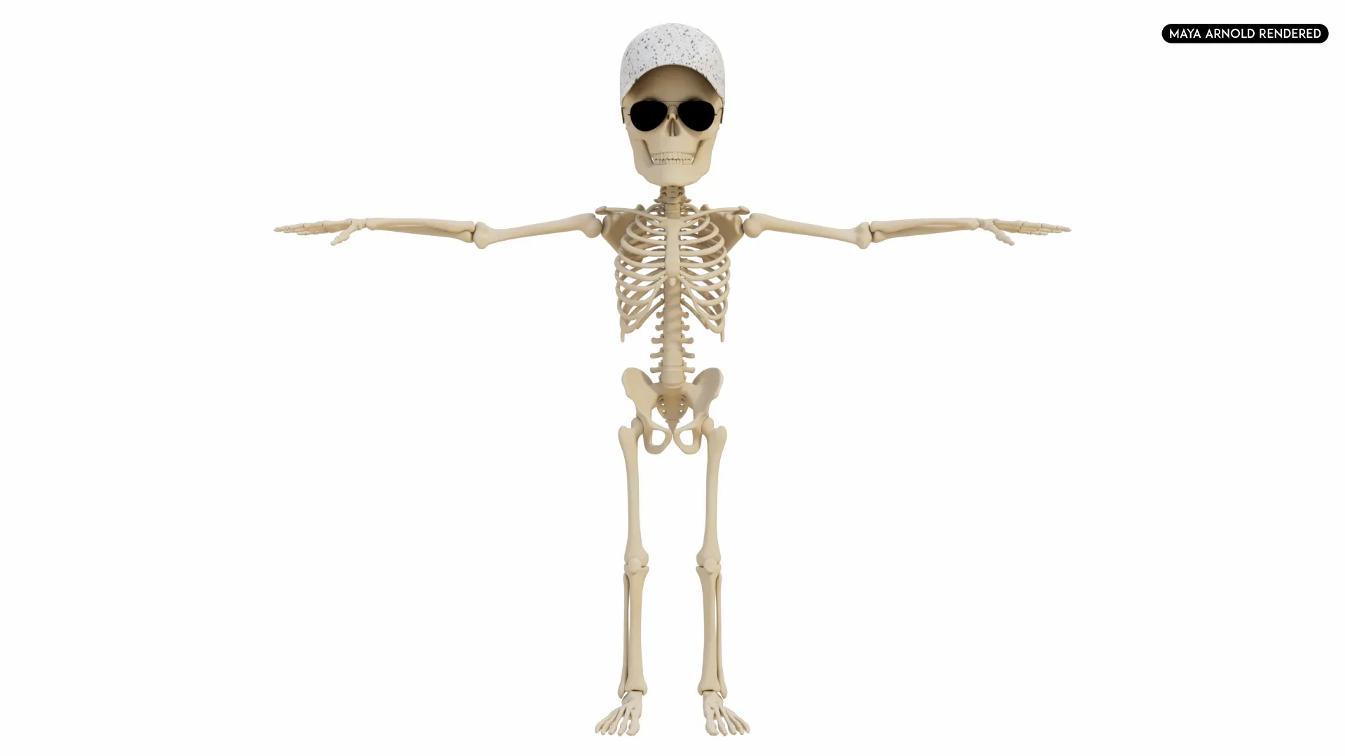 Human Cartoon Skeleton Stylized