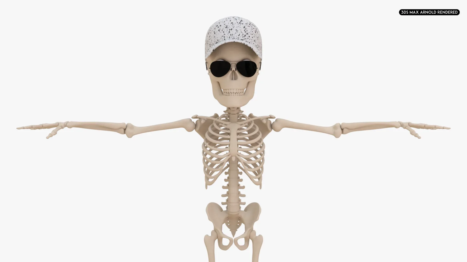 Human Cartoon Skeleton Stylized