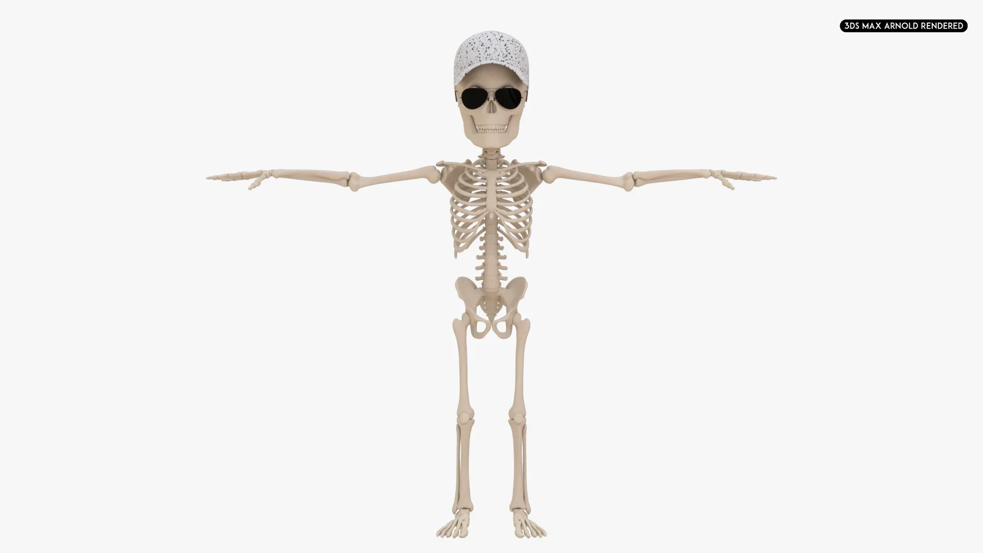 Human Cartoon Skeleton Stylized