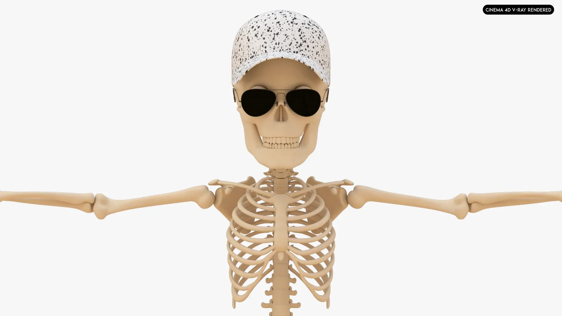 Human Cartoon Skeleton Stylized