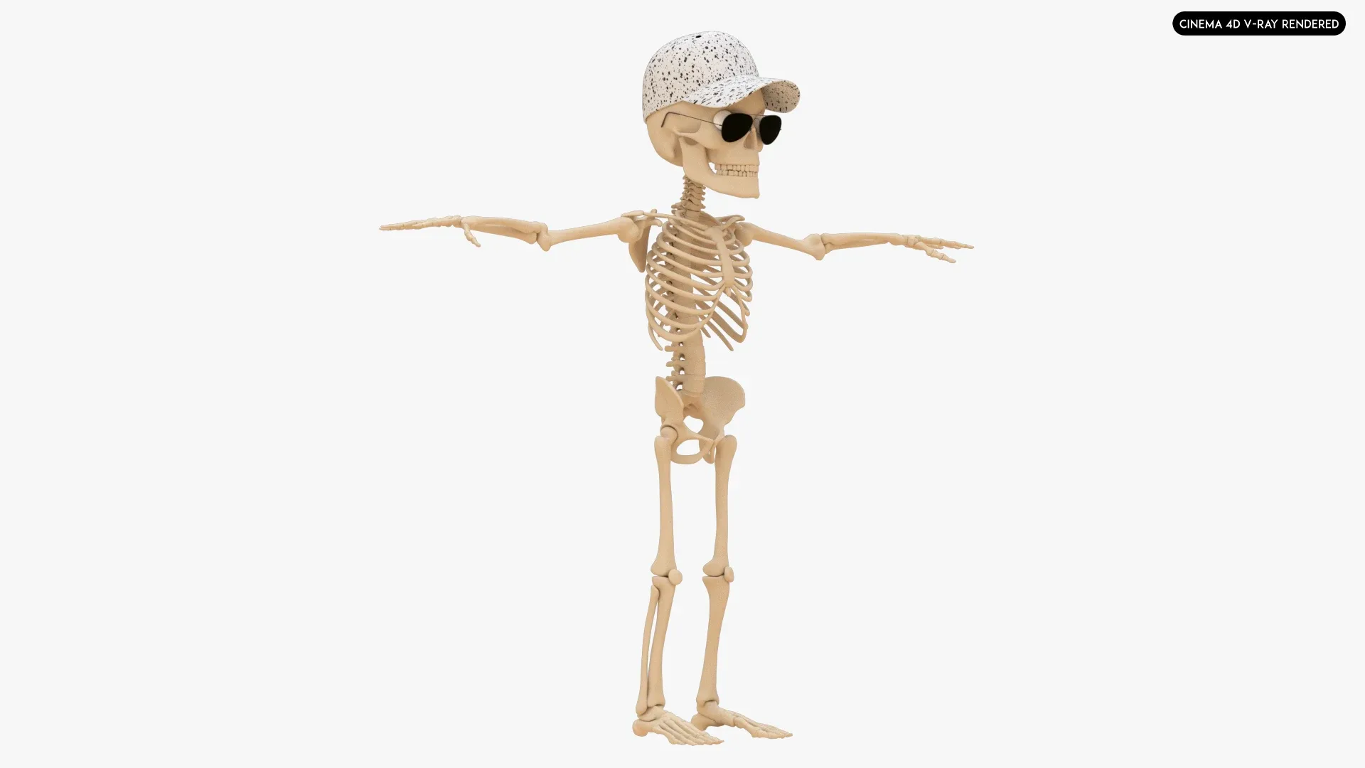 Human Cartoon Skeleton Stylized