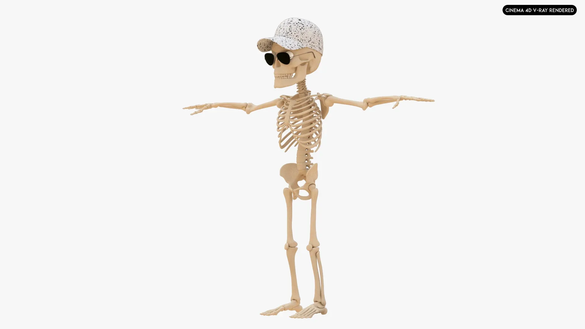 Human Cartoon Skeleton Stylized