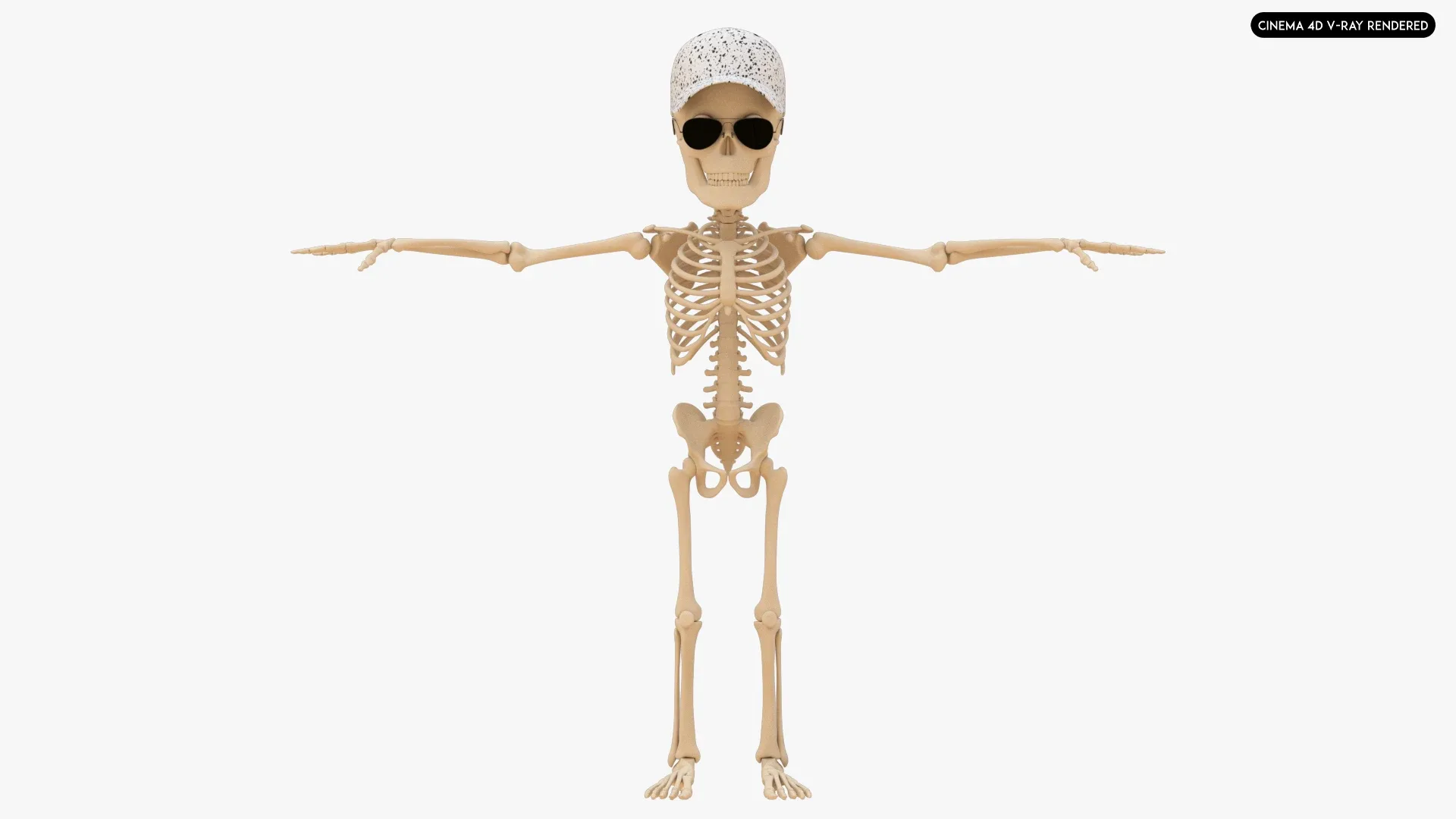 Human Cartoon Skeleton Stylized