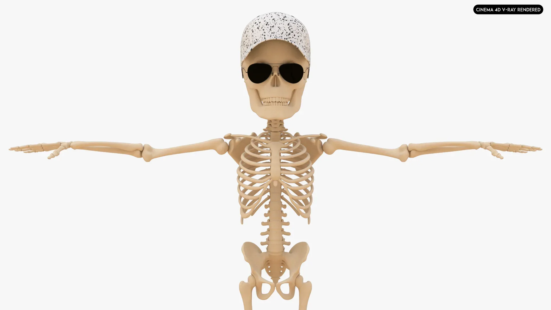 Human Cartoon Skeleton Stylized