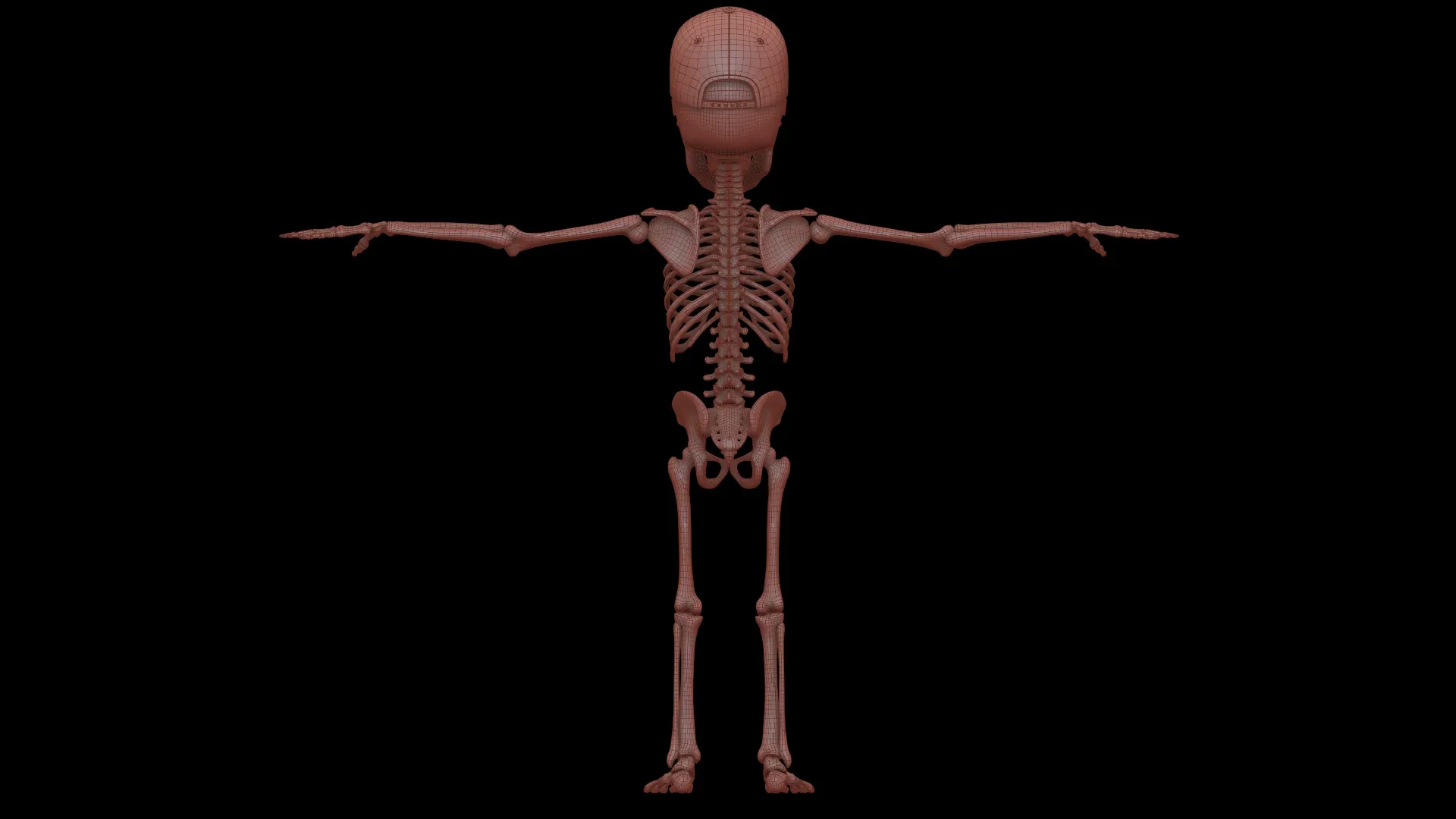 Human Cartoon Skeleton Stylized