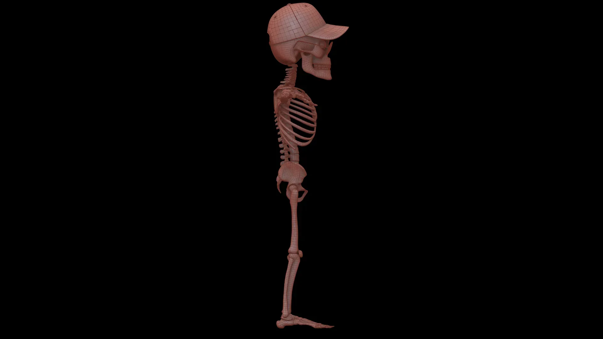 Human Cartoon Skeleton Stylized