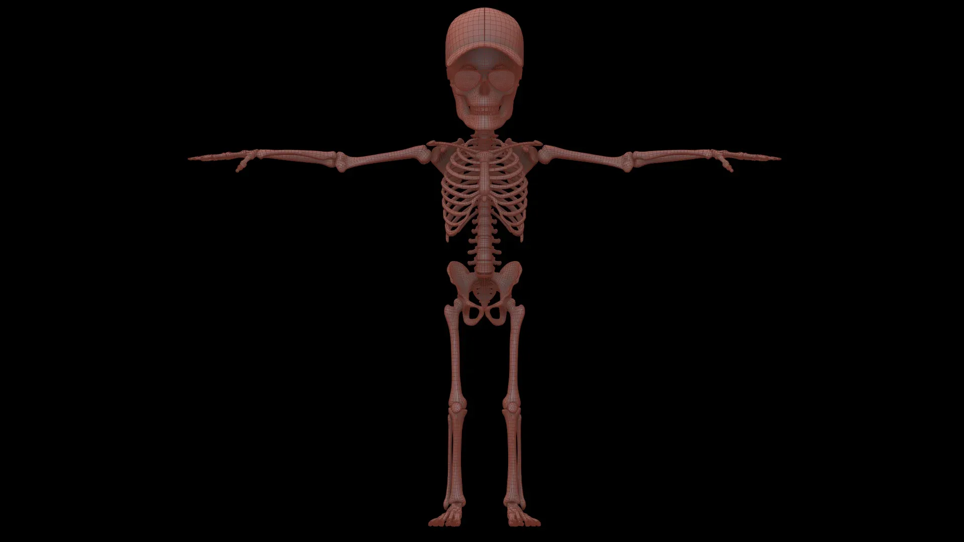 Human Cartoon Skeleton Stylized