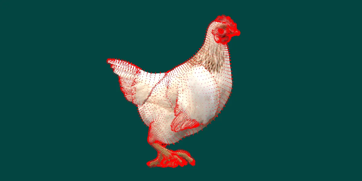 Hen Chicken Animal