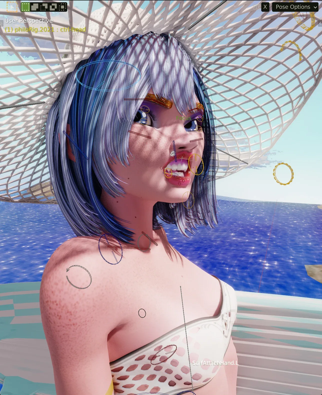 Rigging Females in Blender, Lesson 7, Face Rig