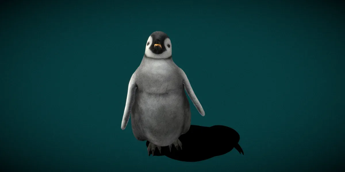 Baby Emperor Penguin Animal