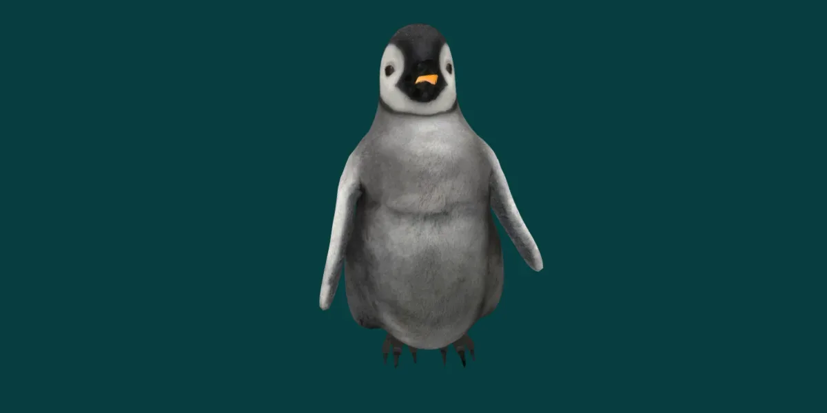 Baby Emperor Penguin Animal