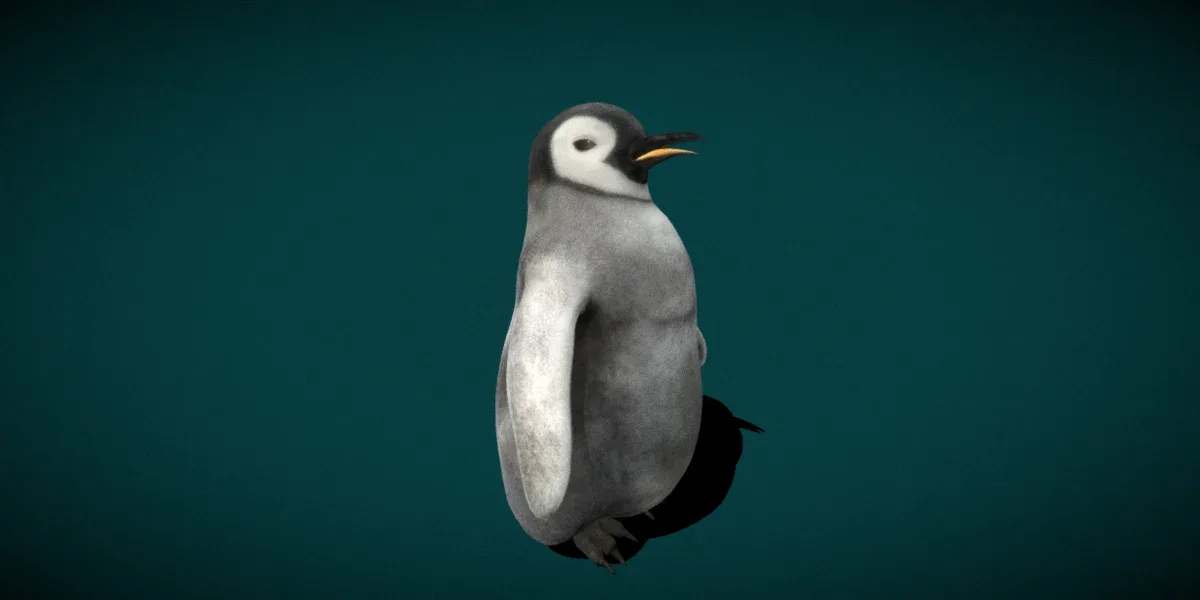 Baby Emperor Penguin Animal