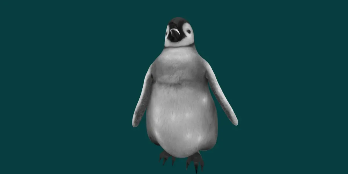 Baby Emperor Penguin Animal