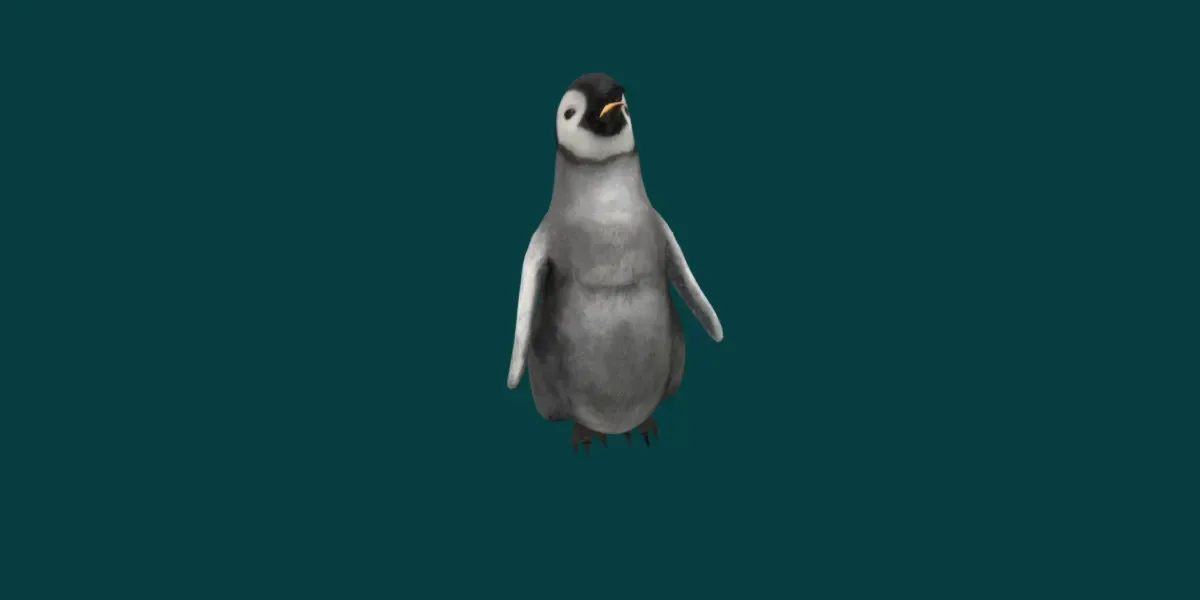 Baby Emperor Penguin Animal