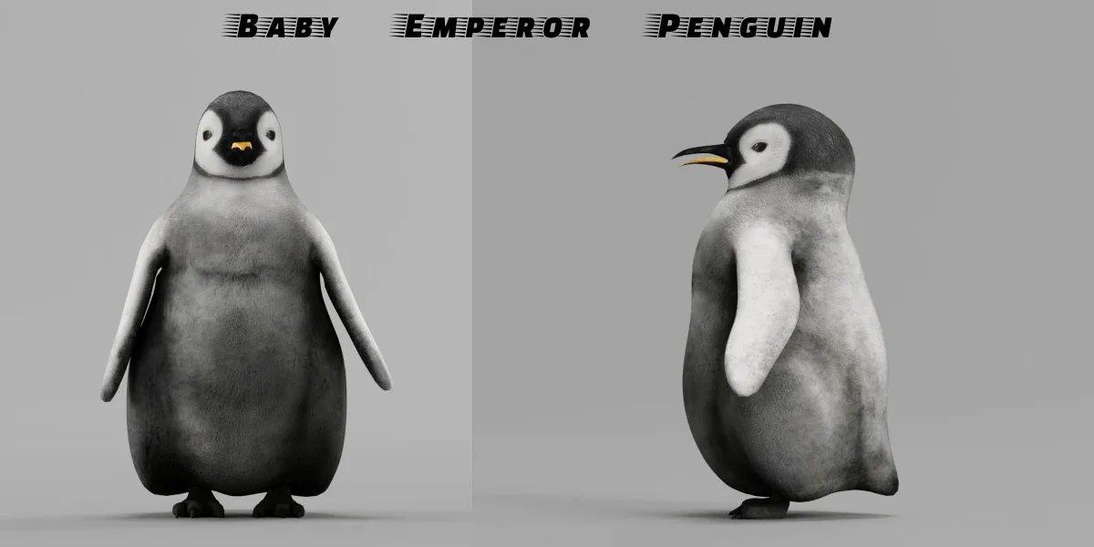 Baby Emperor Penguin Animal