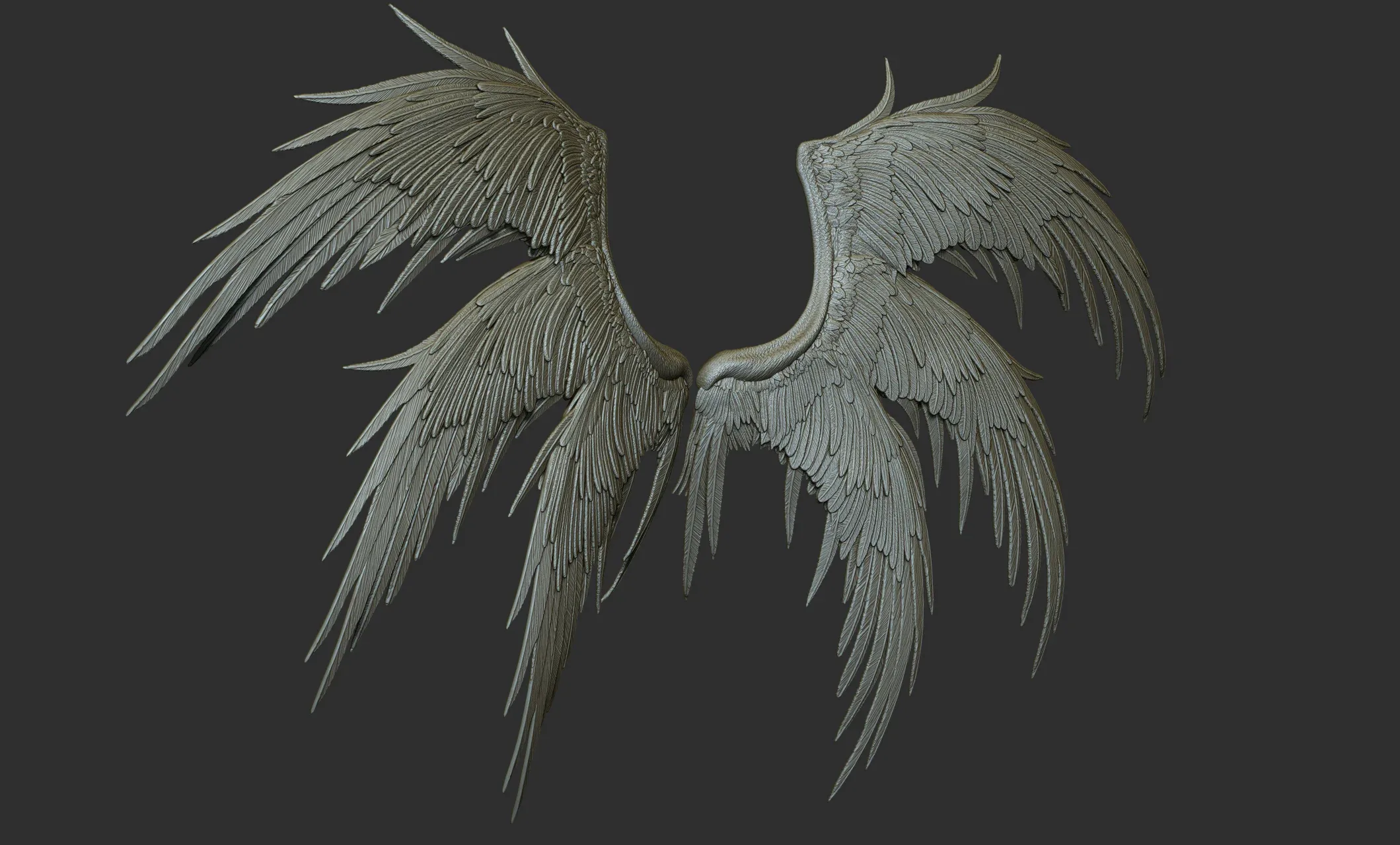 Pack of 10 High-Poly Wings 03