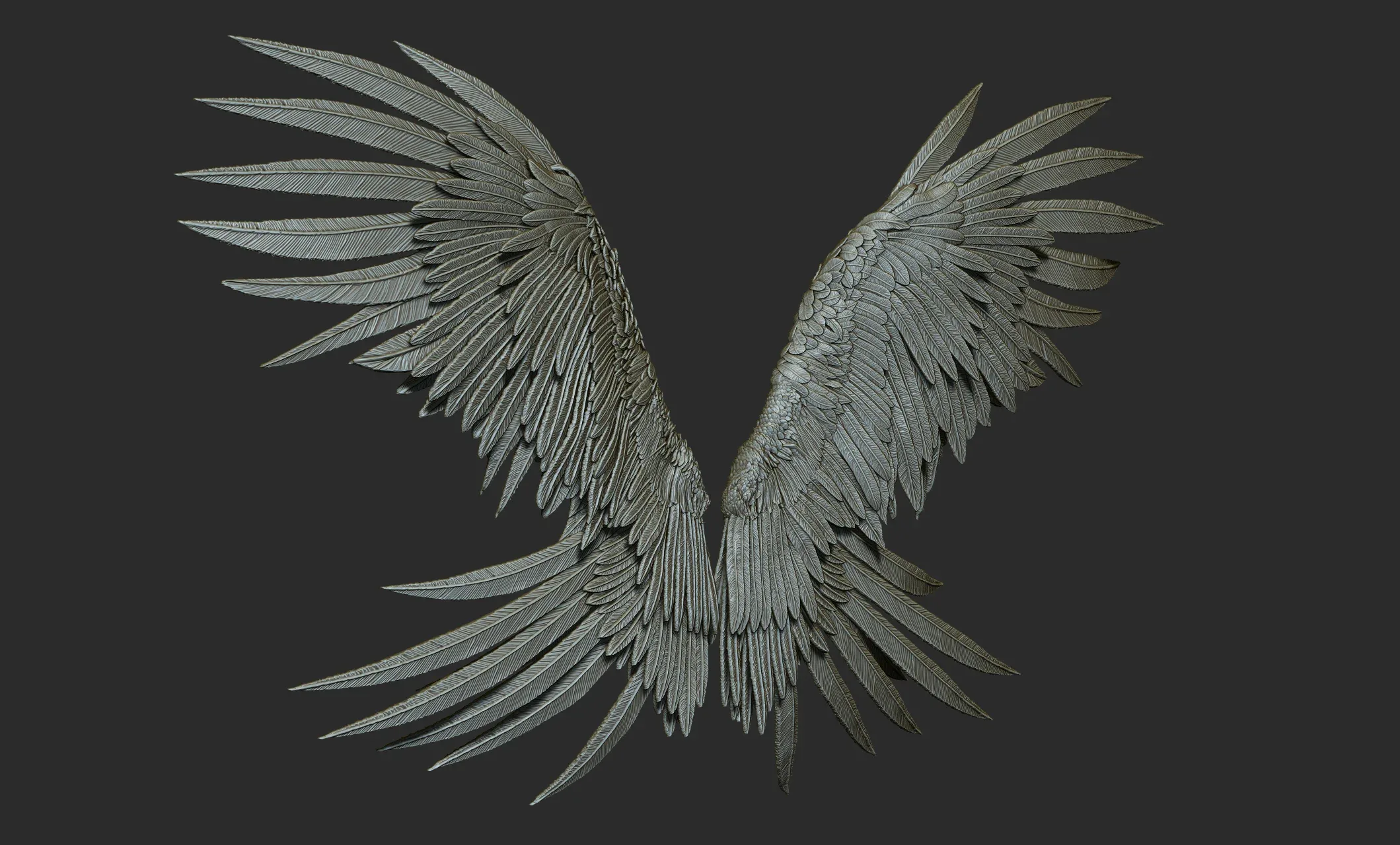 Pack of 10 High-Poly Wings 03