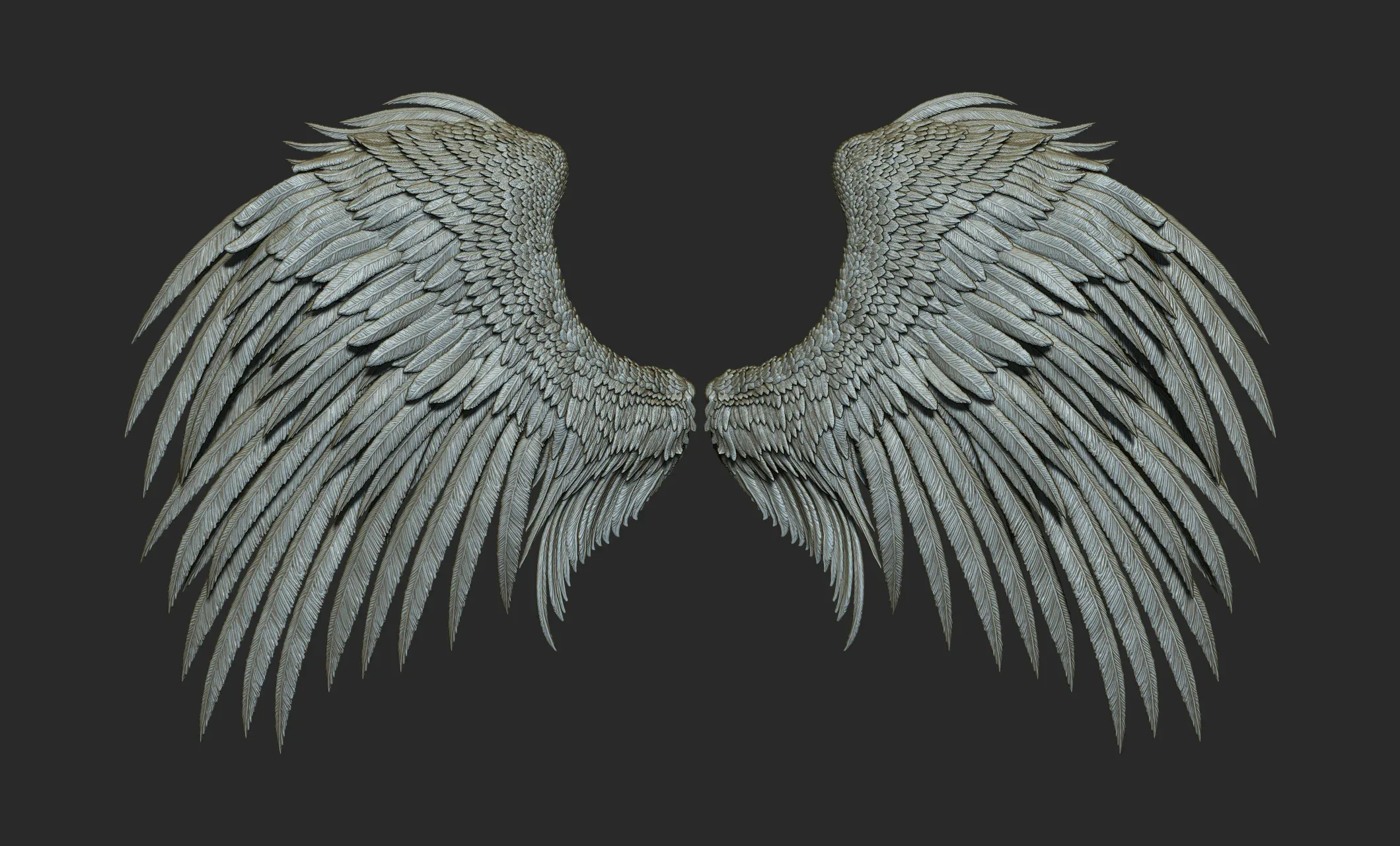 Pack of 10 High-Poly Wings 03