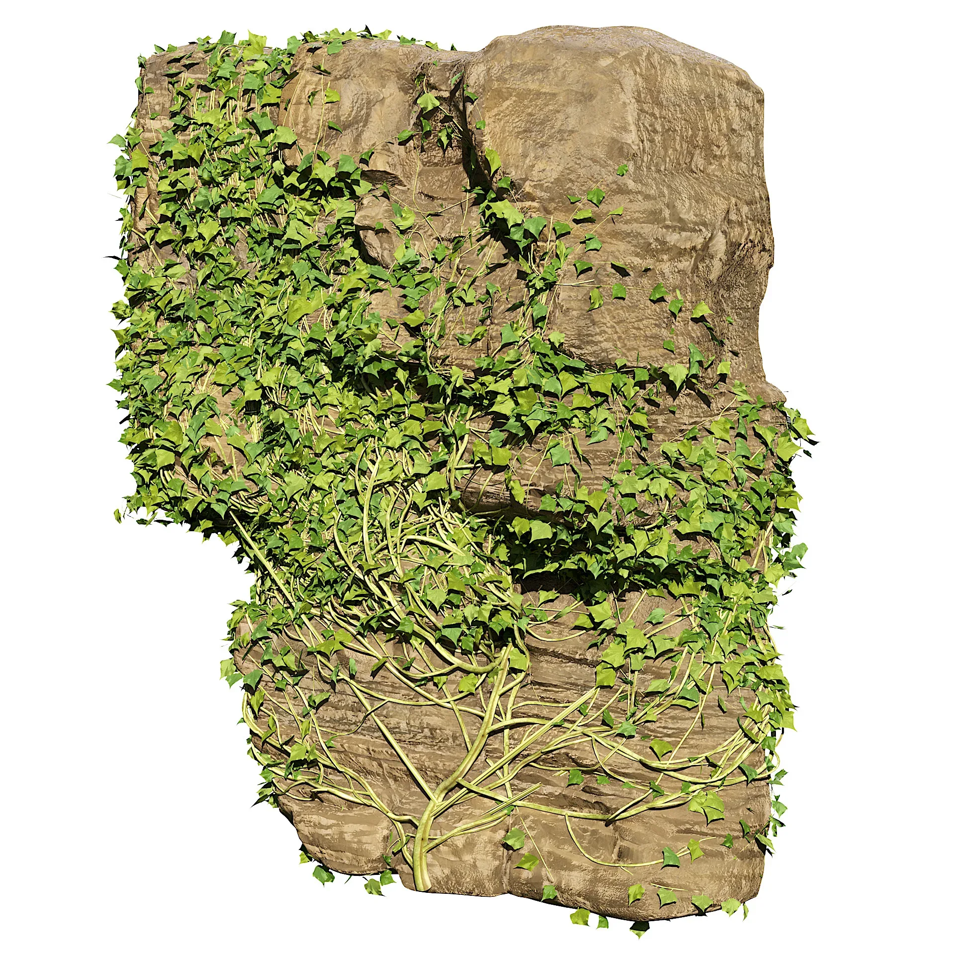 Rock with Ivy 3D Model