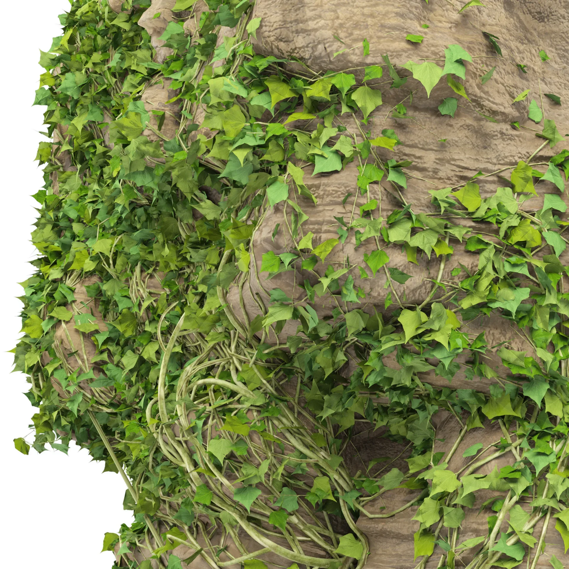 Rock with Ivy 3D Model