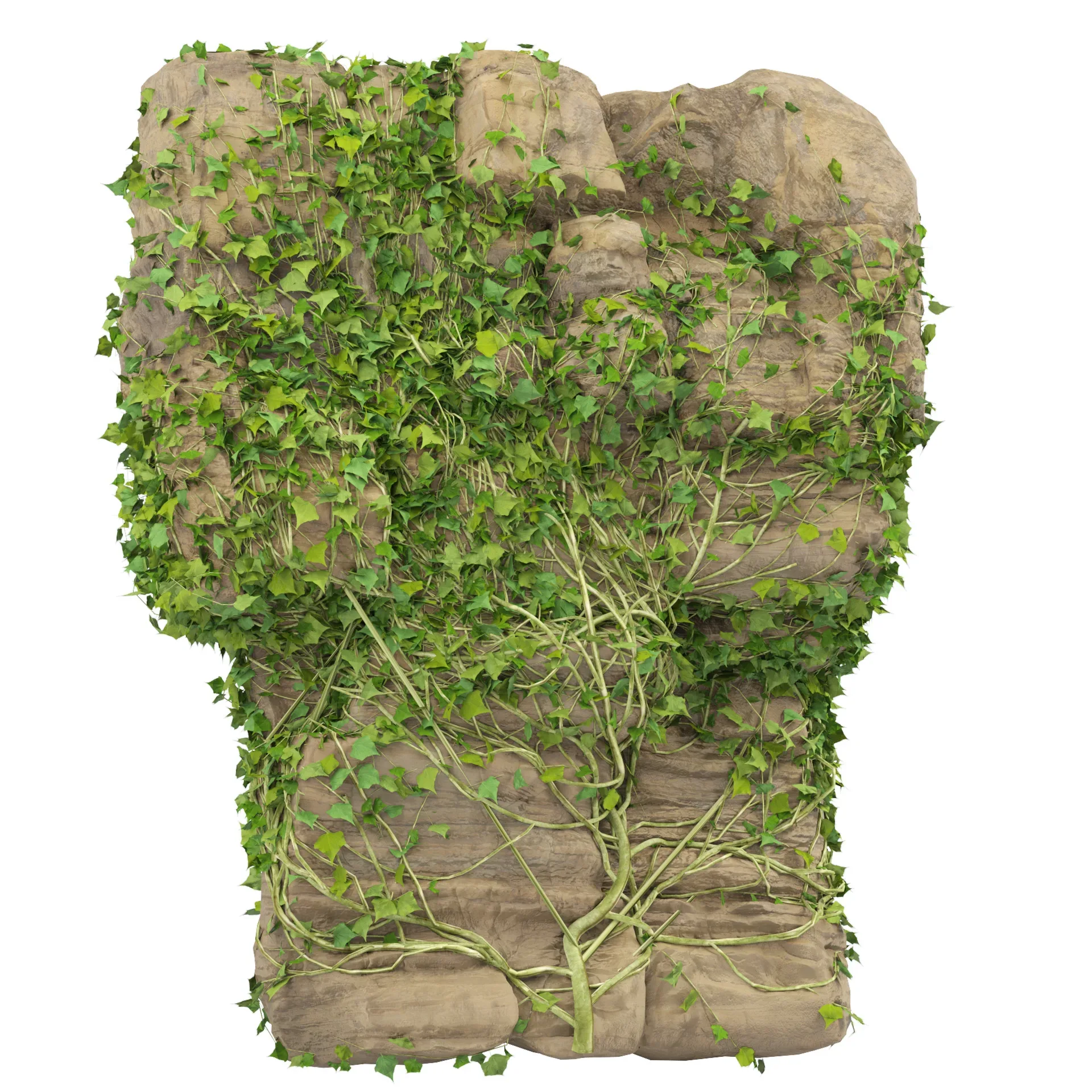 Rock with Ivy 3D Model