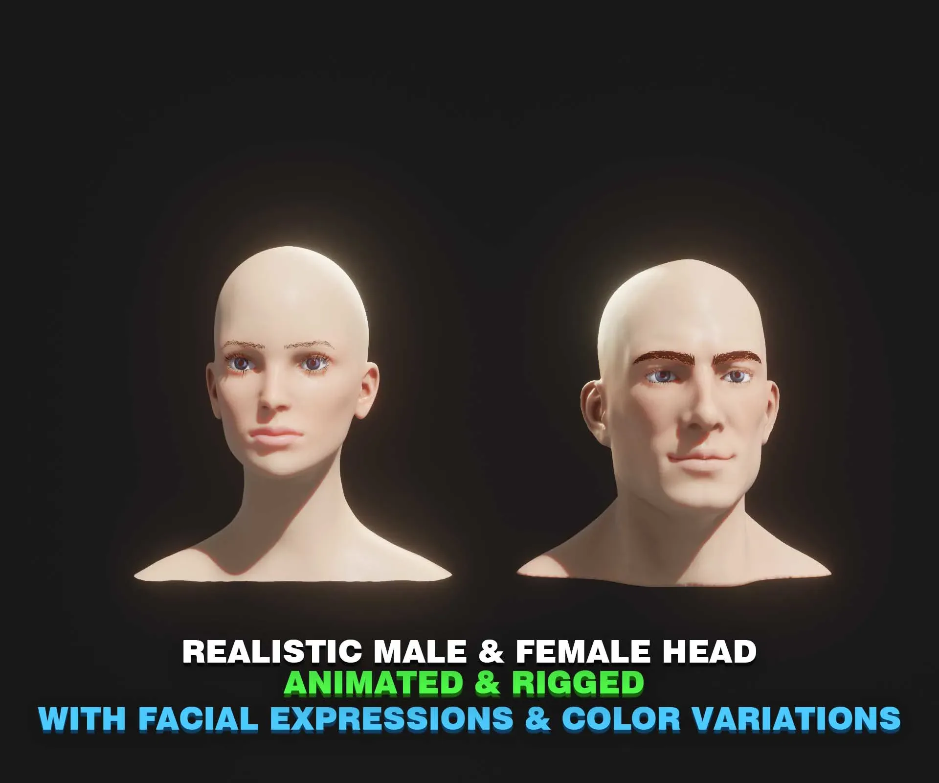 Realistic Male and Female Head 3D Model Animated with Facial Expressions