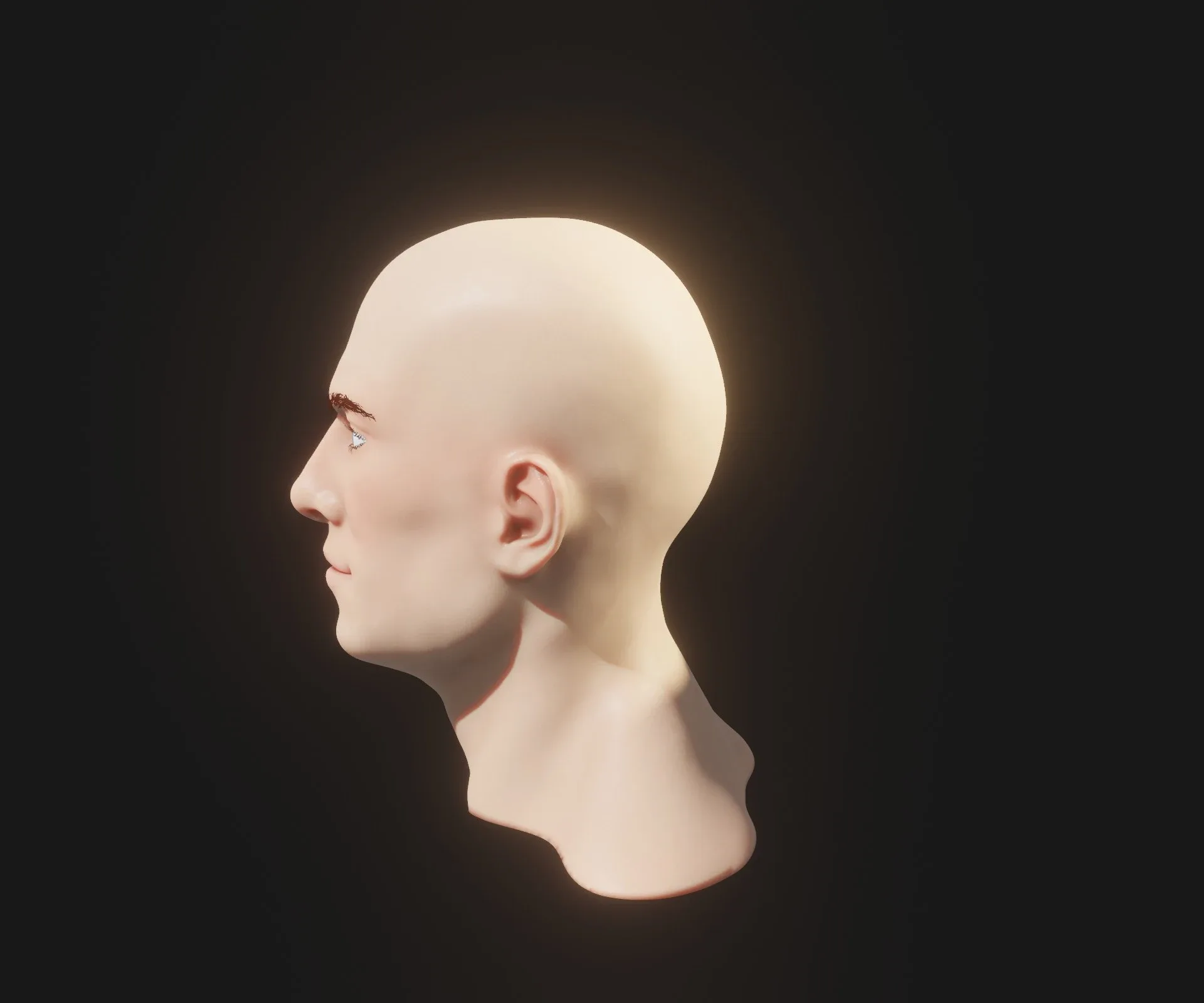 Realistic Male and Female Head 3D Model Animated with Facial Expressions