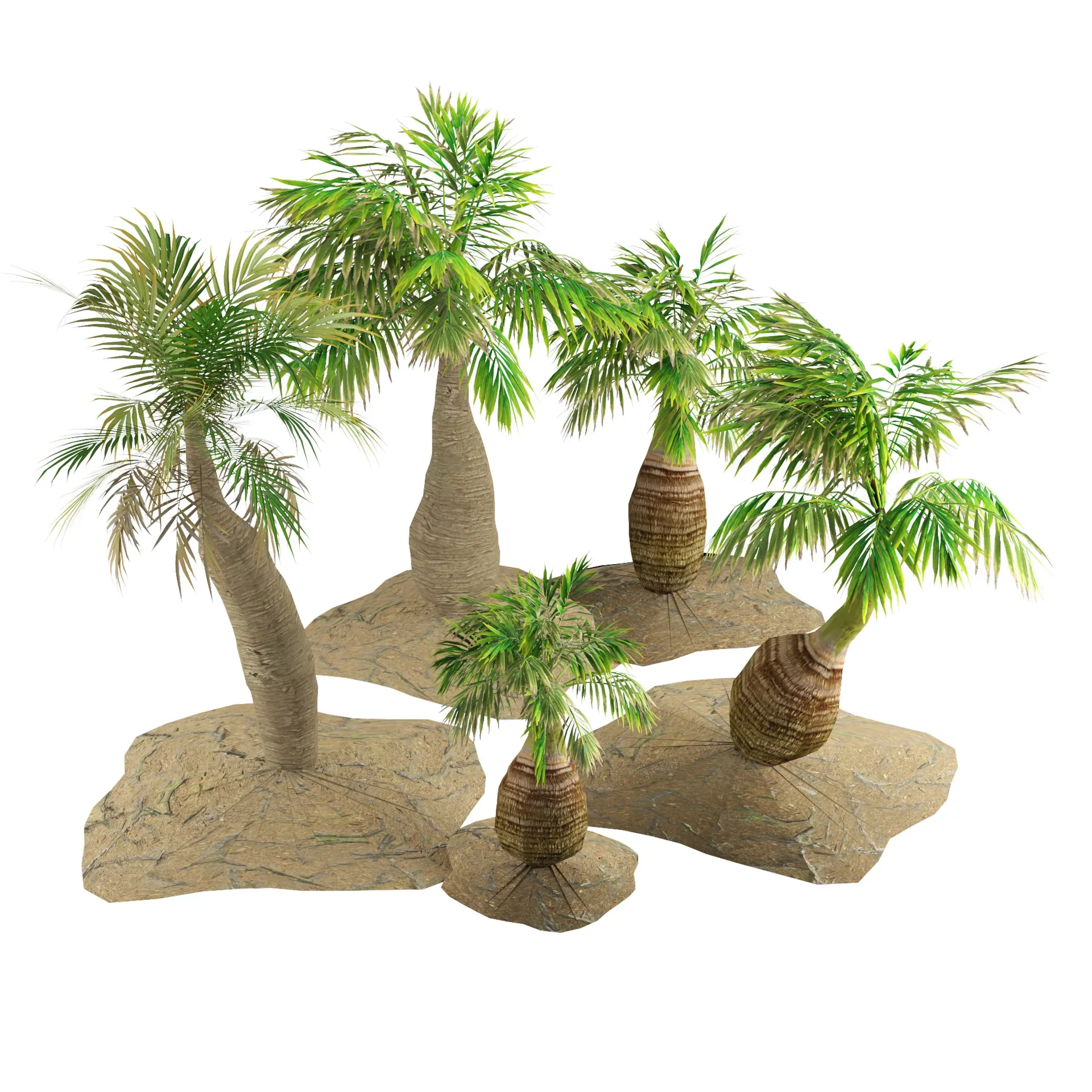 bottle-shaped palm 3d model