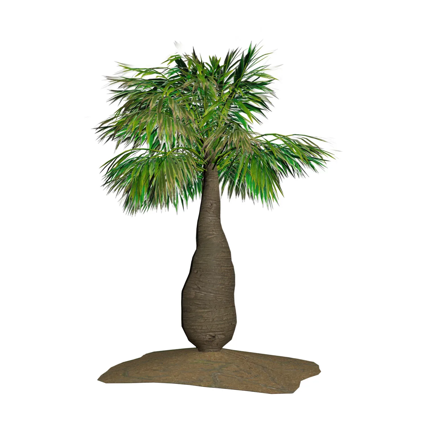 bottle-shaped palm 3d model