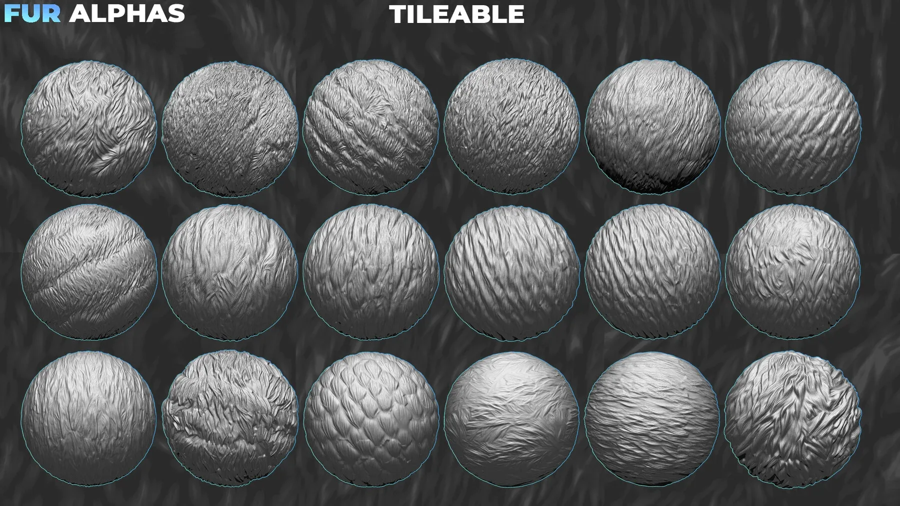 1000+ Fur & Hair Alphas (Displacement Maps) BUNDLE for ZBrush, Blender, Substance Painter