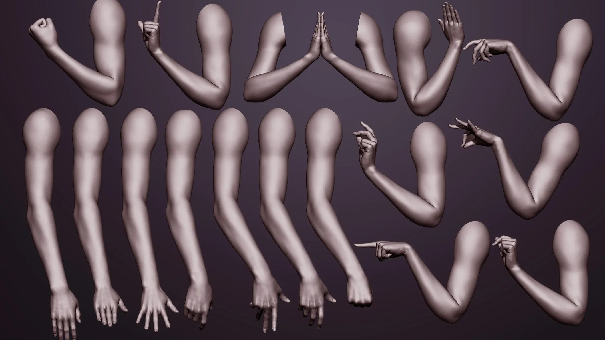 Pack of 16 female arm poses