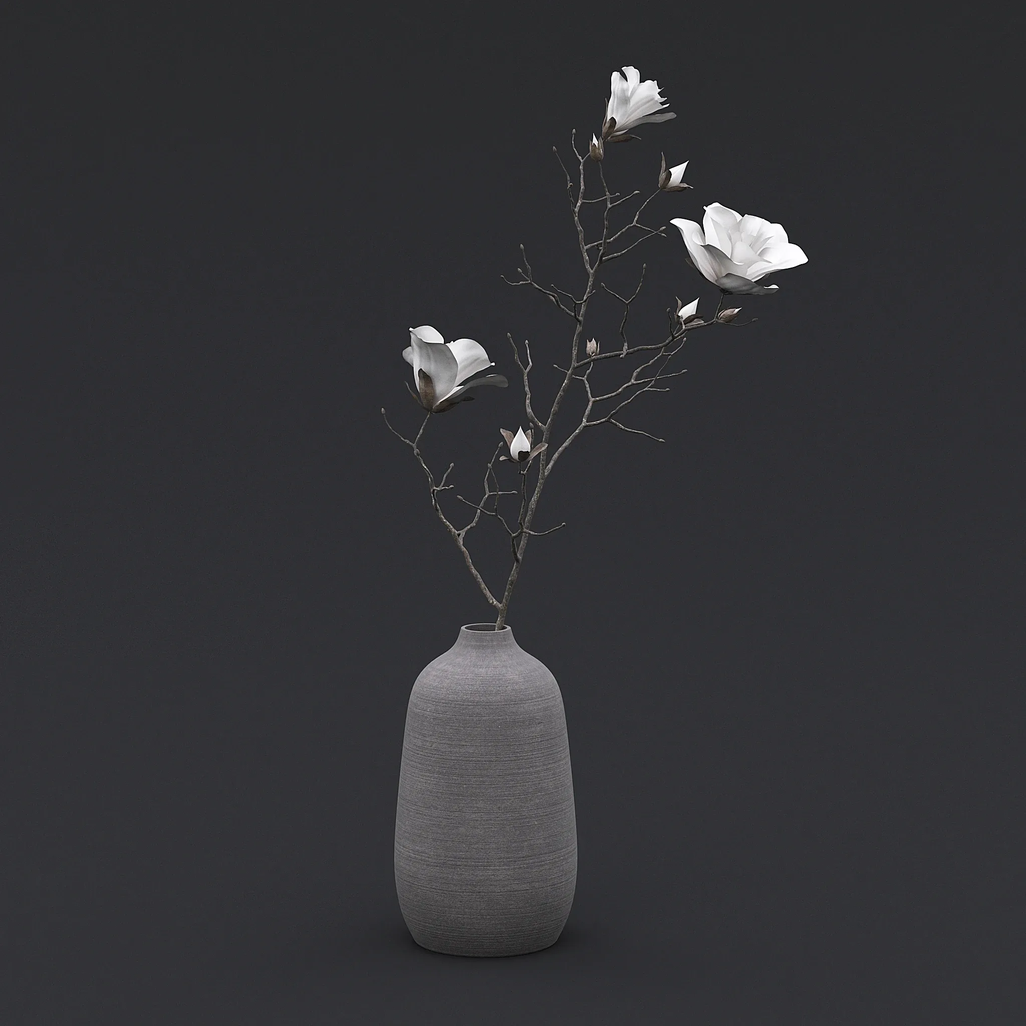 Dry Flowers in Vase I