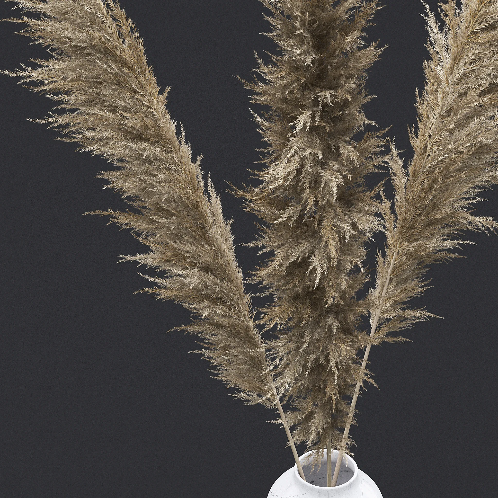 Pampas Grass I