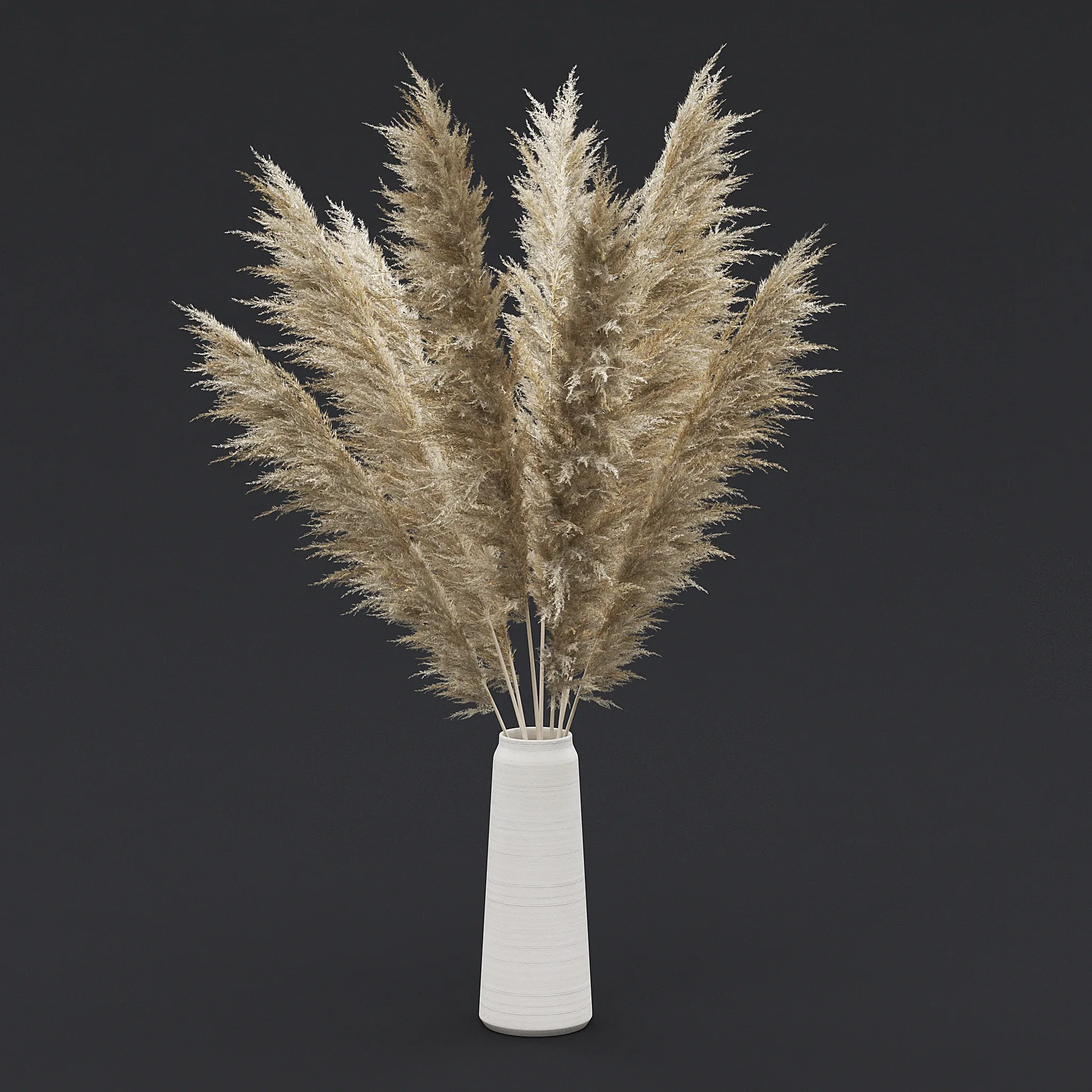 Pampas Grass II