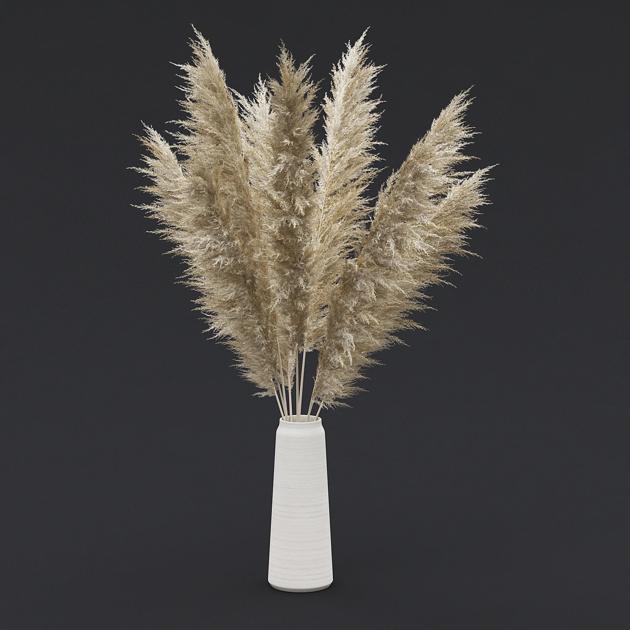 Pampas Grass II