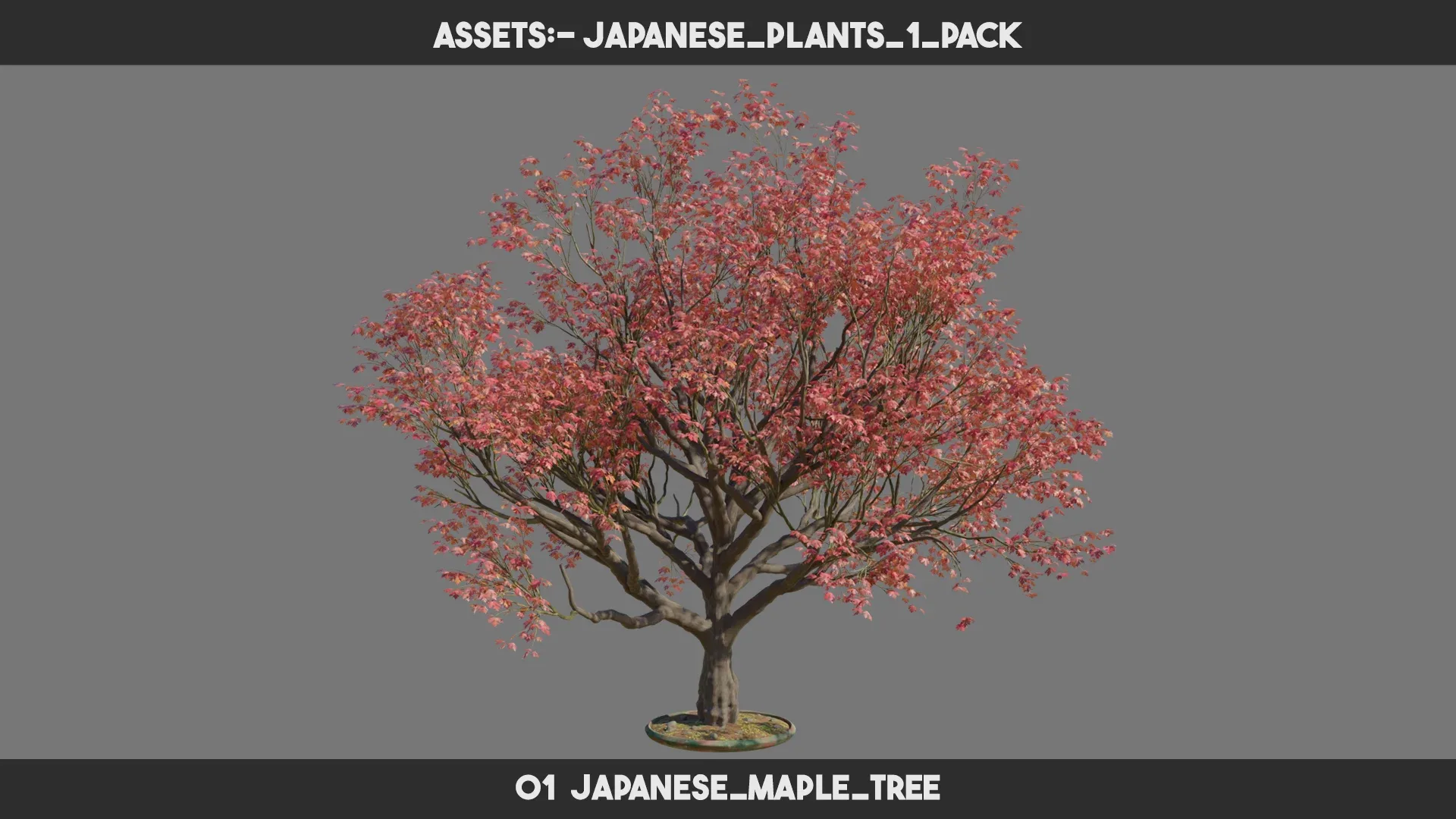 Japanese Plants 1 PACK