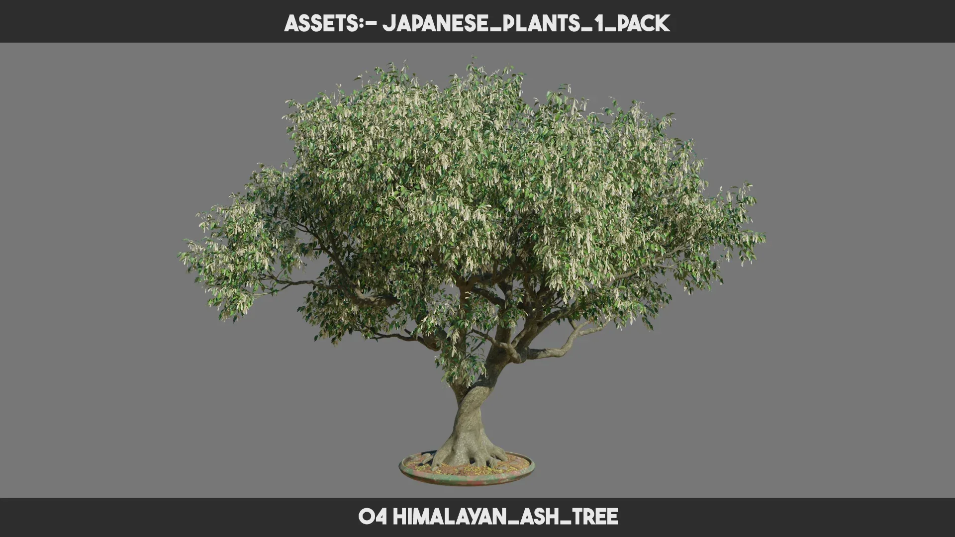 Japanese Plants 1 PACK