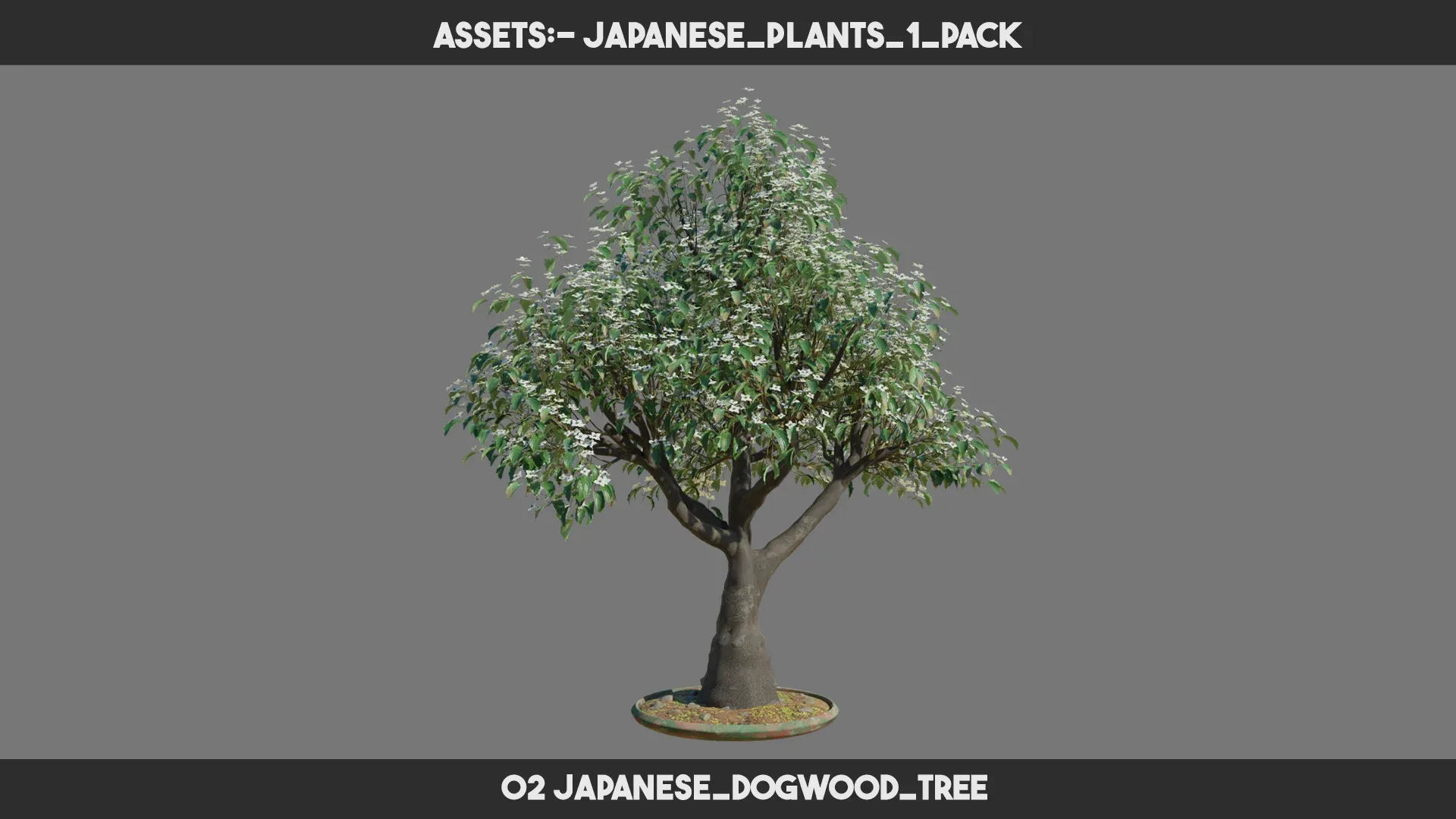 Japanese Plants 1 PACK