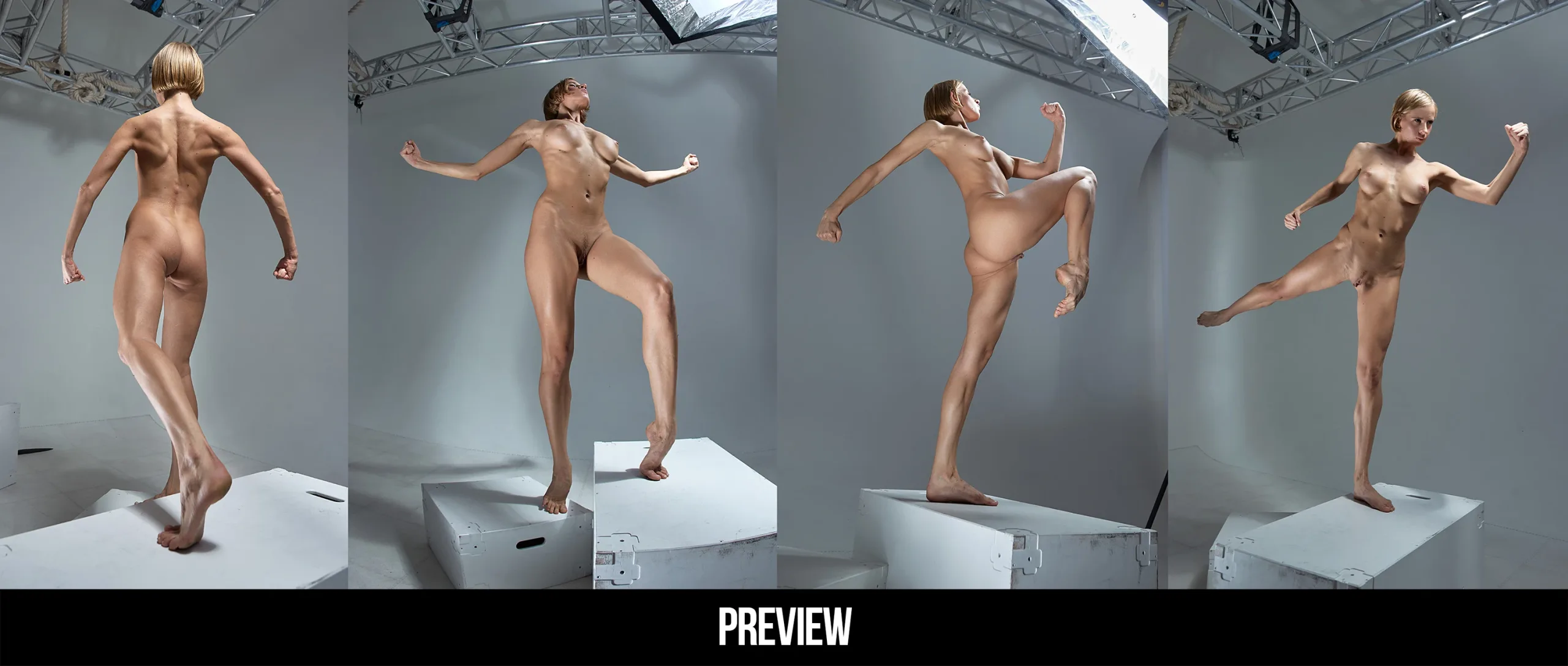 Action Queen Poses Reference Pictures