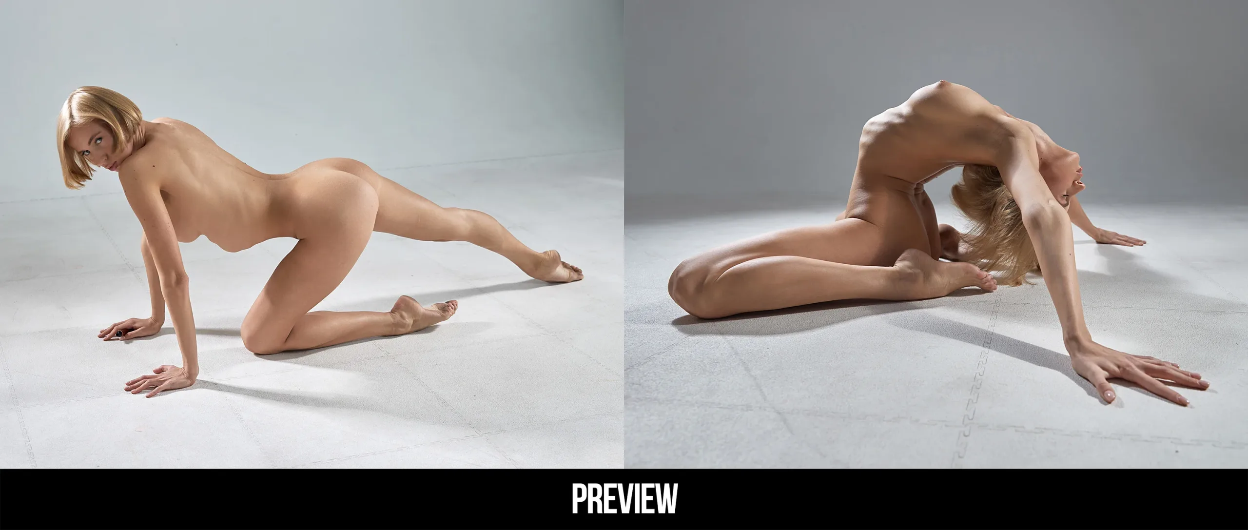 Action Queen Poses Reference Pictures