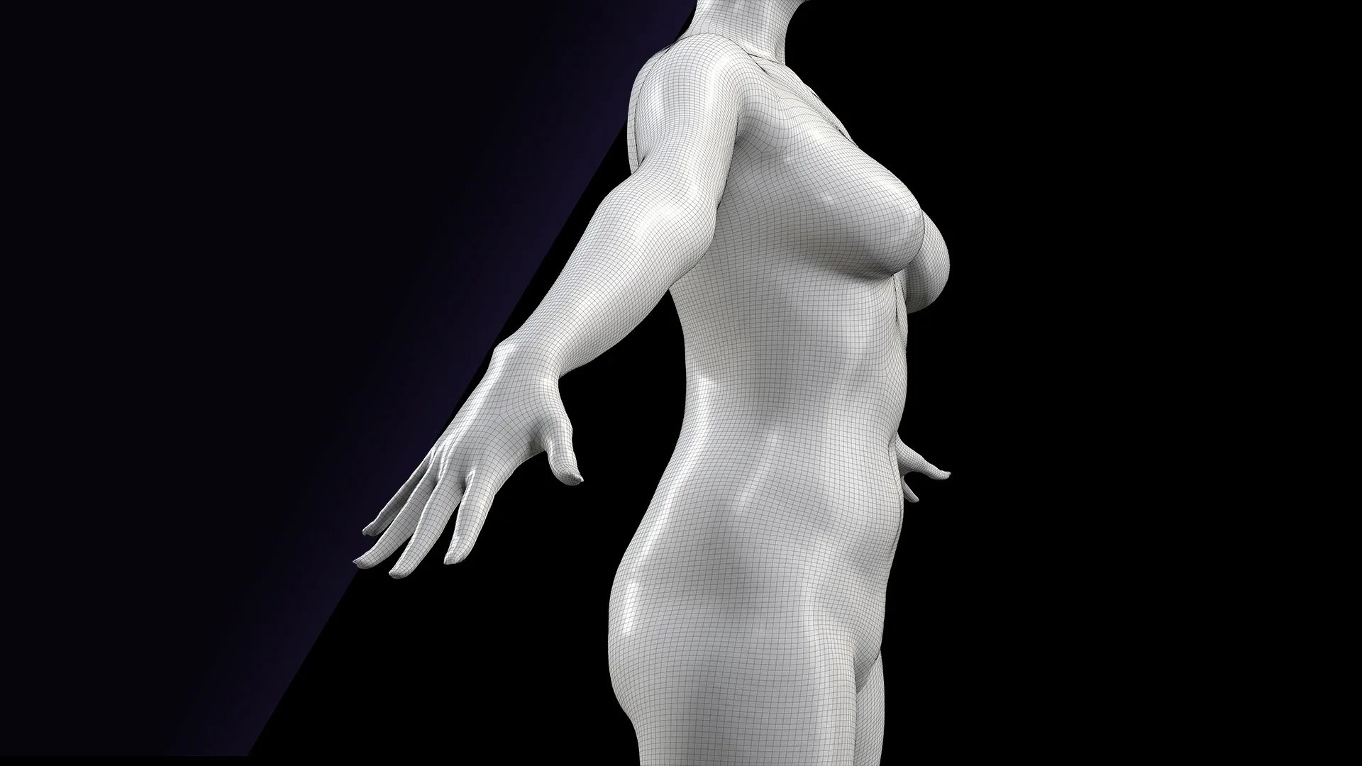 Cleaned A Pose Scan | 3D Model Reeta Nude