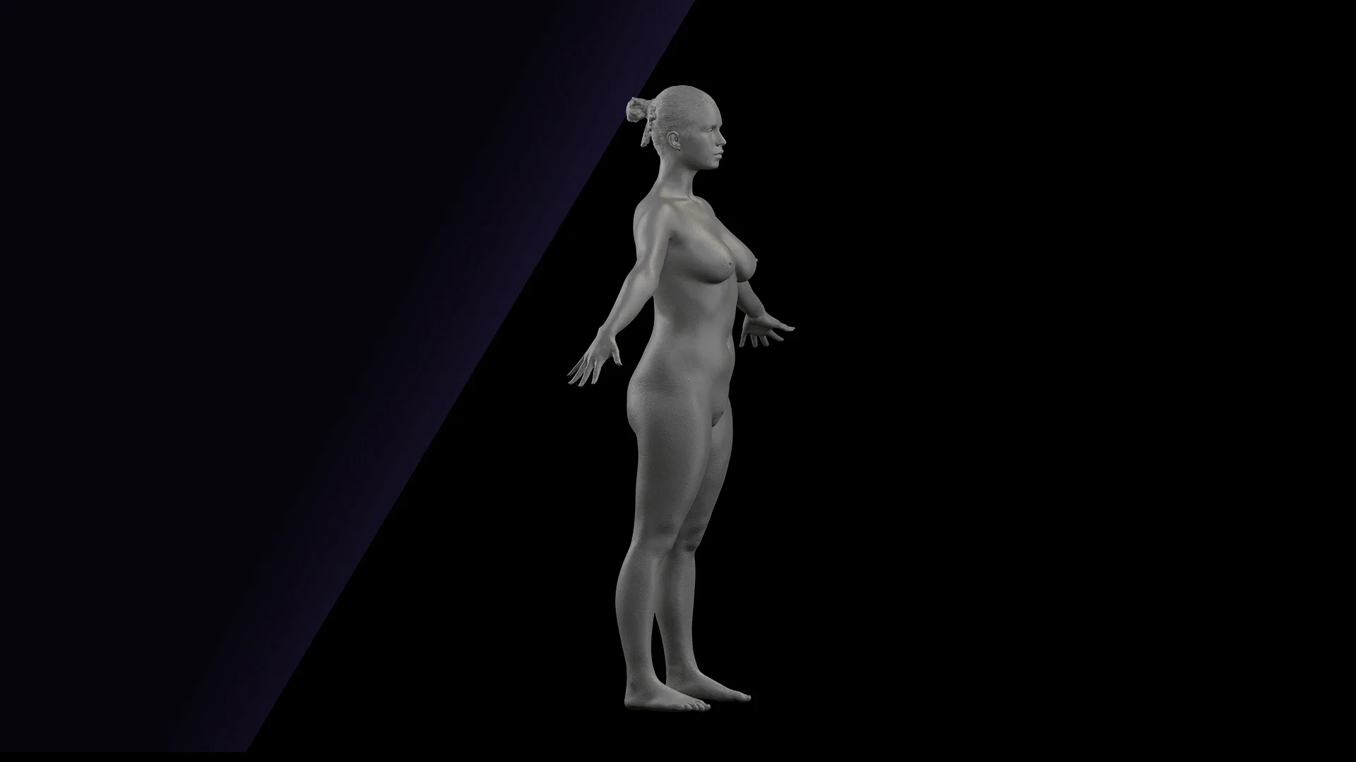 Cleaned A Pose Scan | 3D Model Reeta Nude