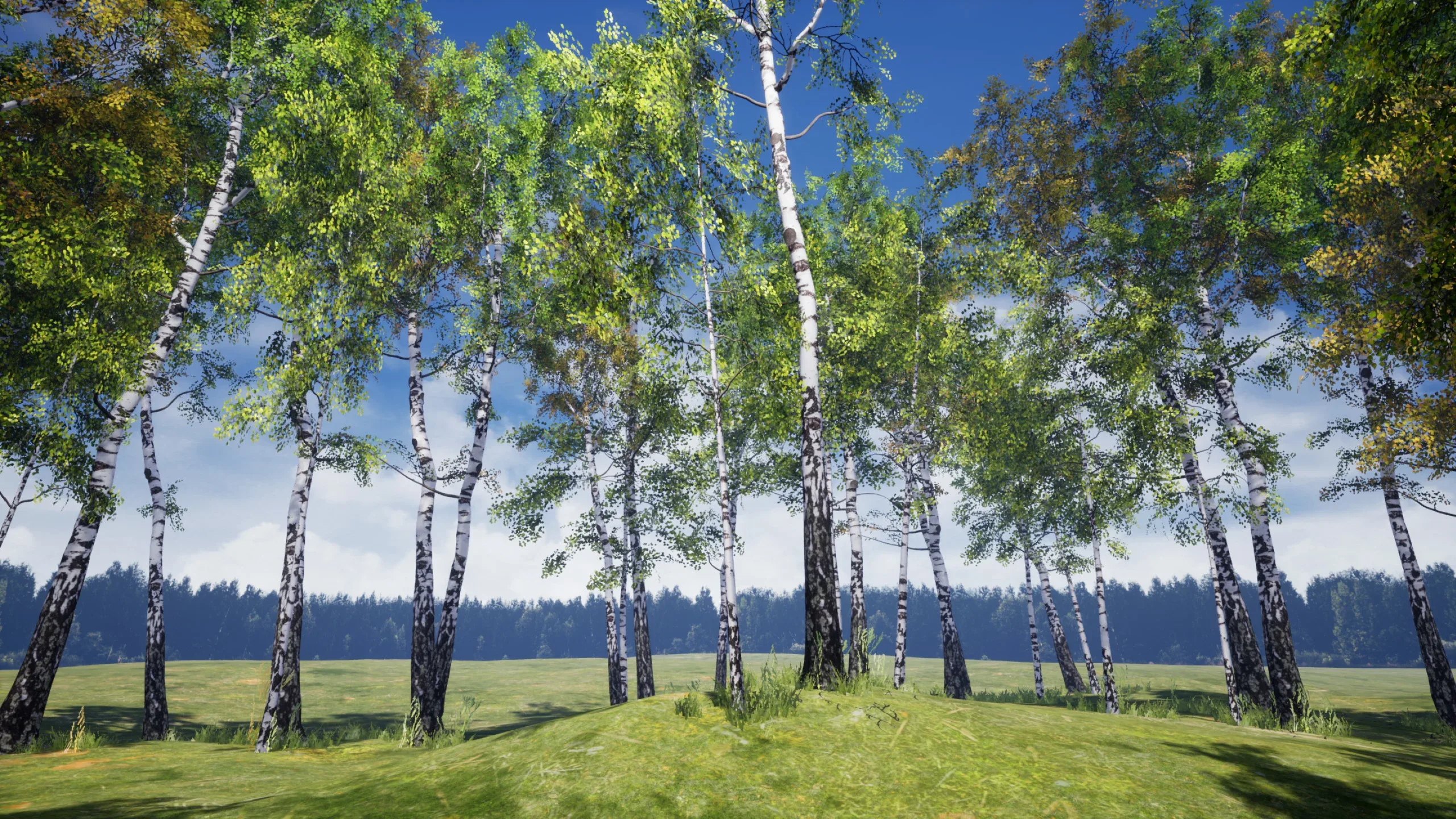 Birch Tree Grove - low poly