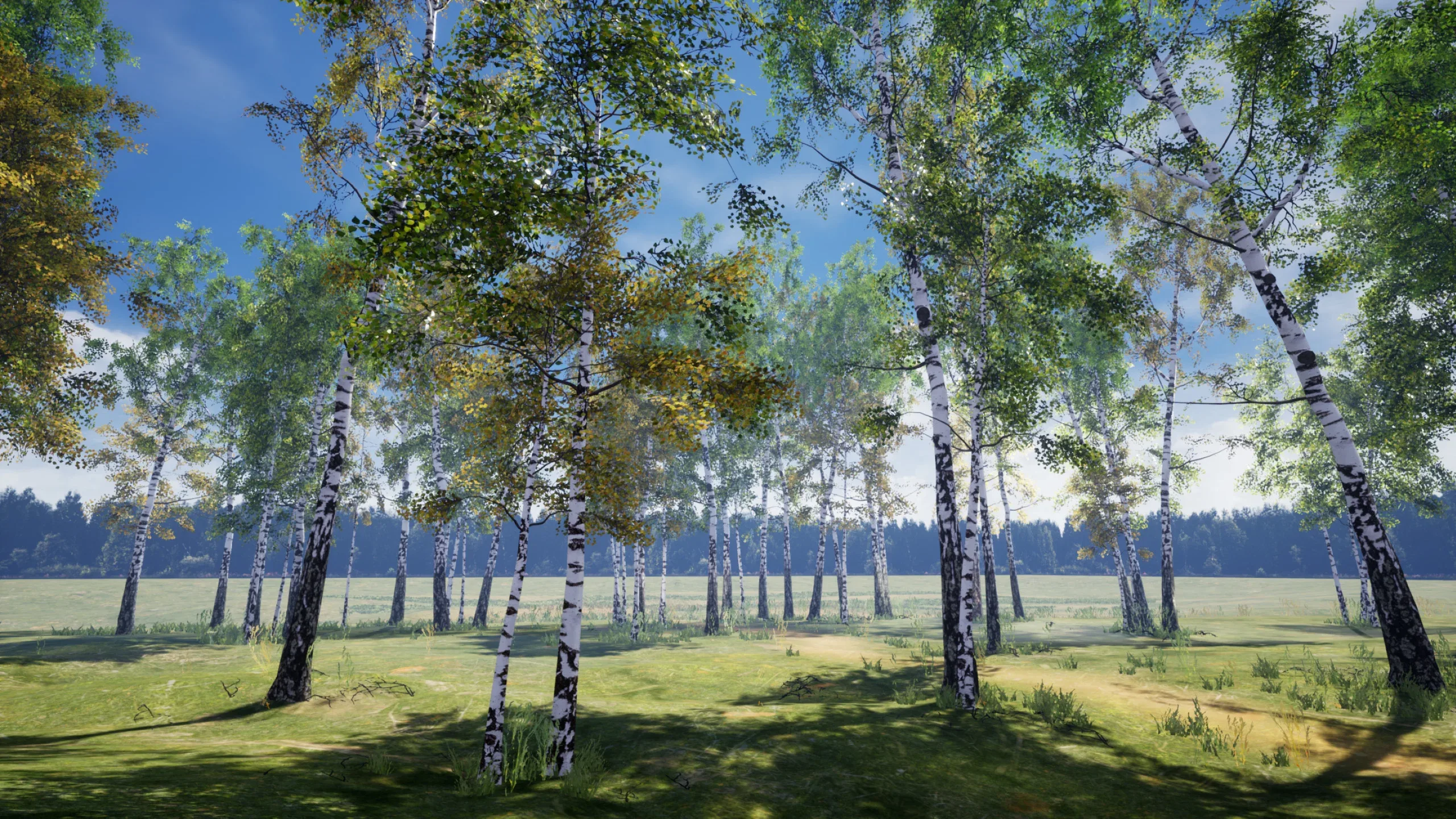 Birch Tree Grove - low poly