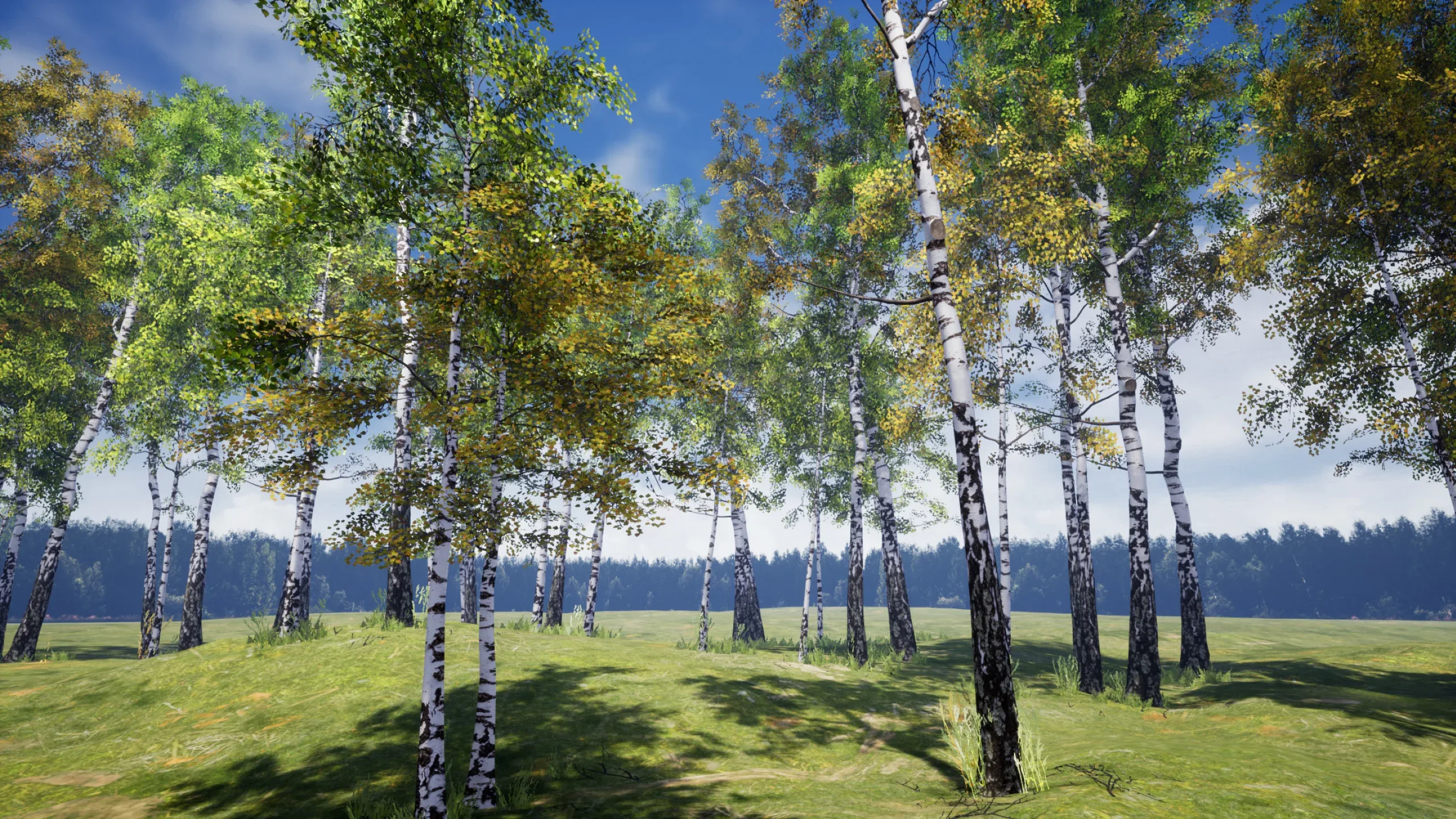 Birch Tree Grove - low poly