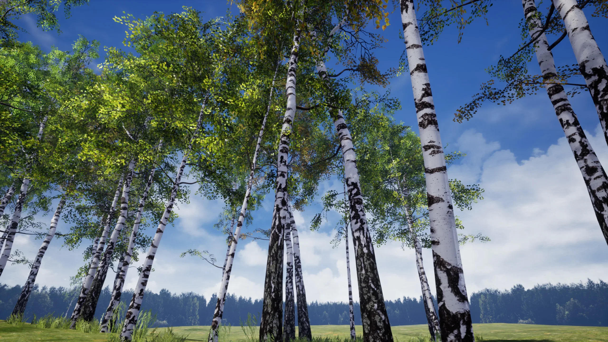 Birch Tree Grove - low poly