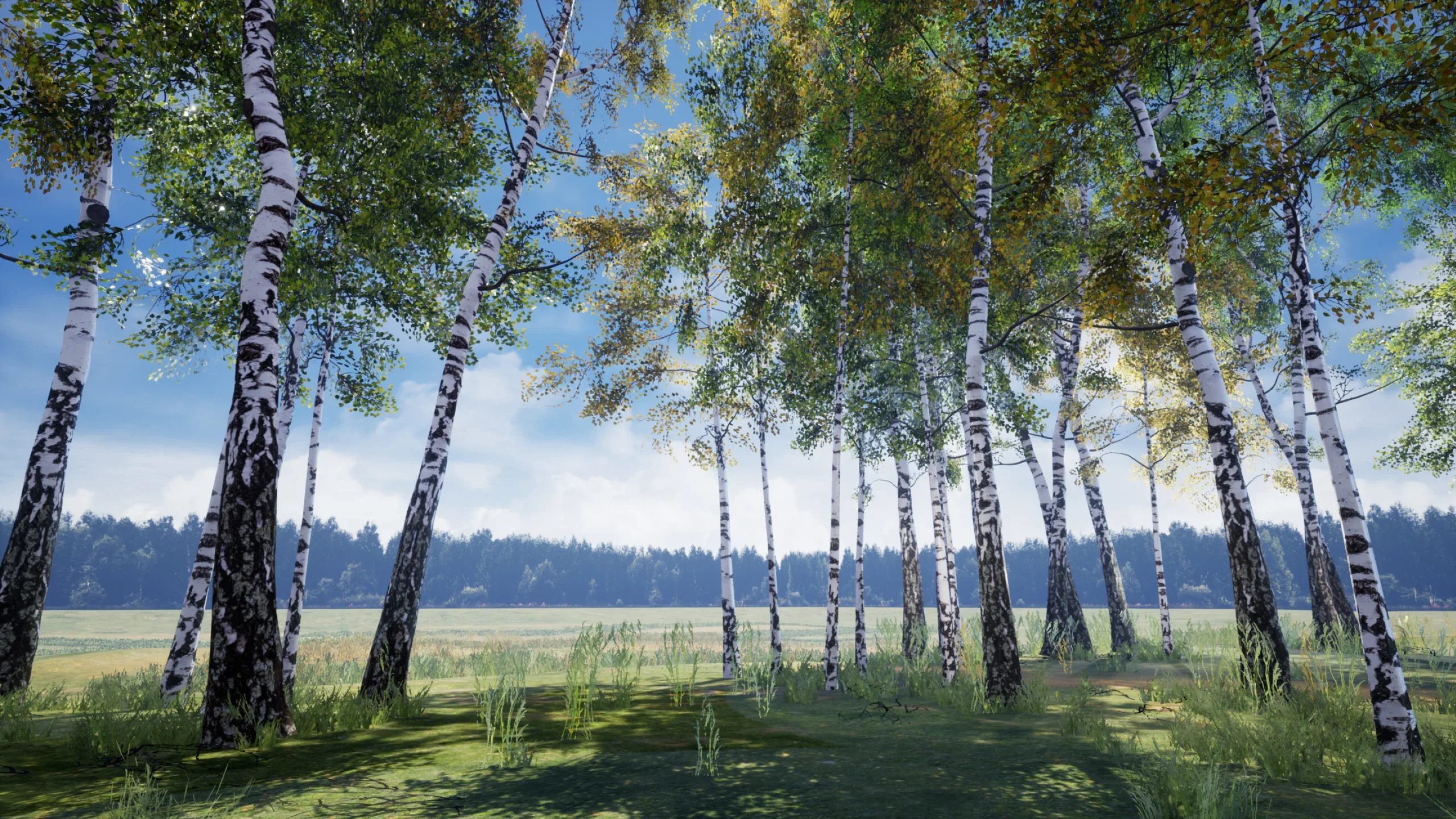 Birch Tree Grove - low poly