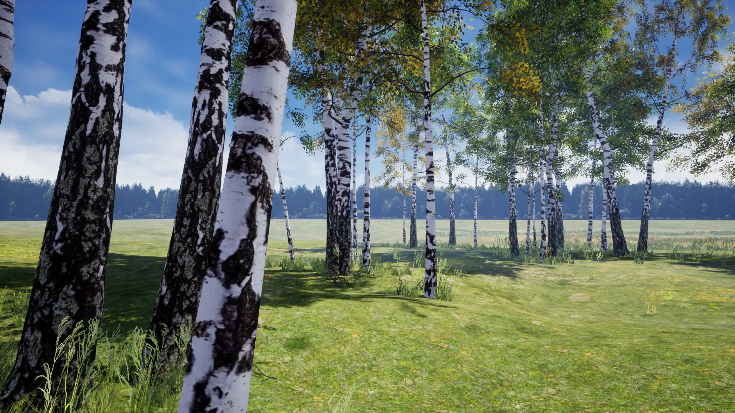 Birch Tree Grove - low poly