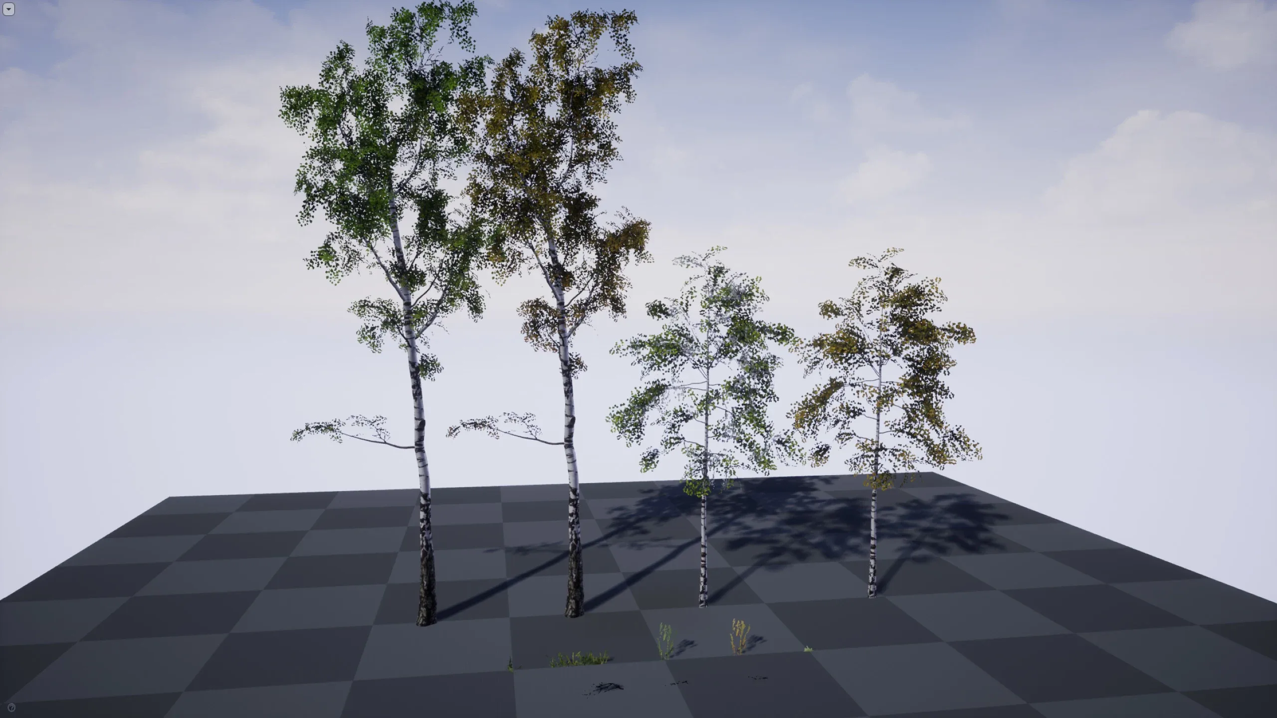 Birch Tree Grove - low poly