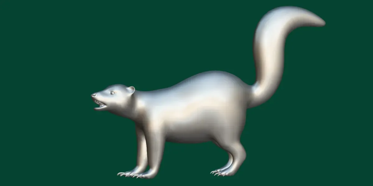 Skunk Mammal Animal